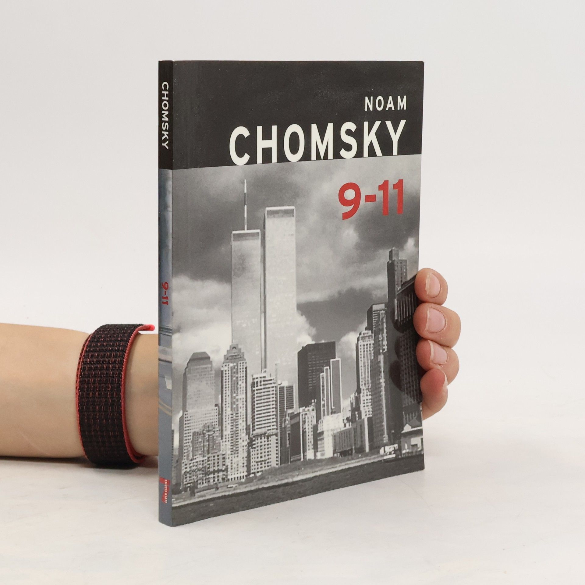 Noam Chomsky 9-11