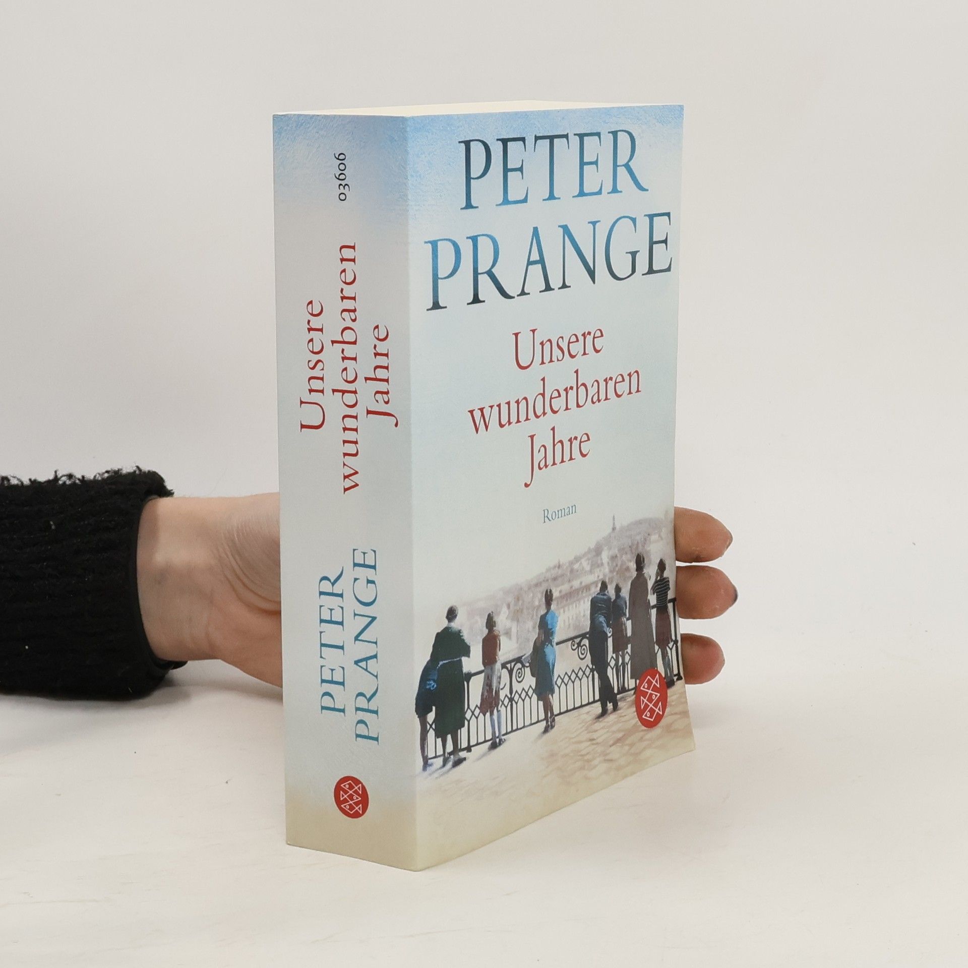 Peter Prange Unsere wunderbaren Jahre