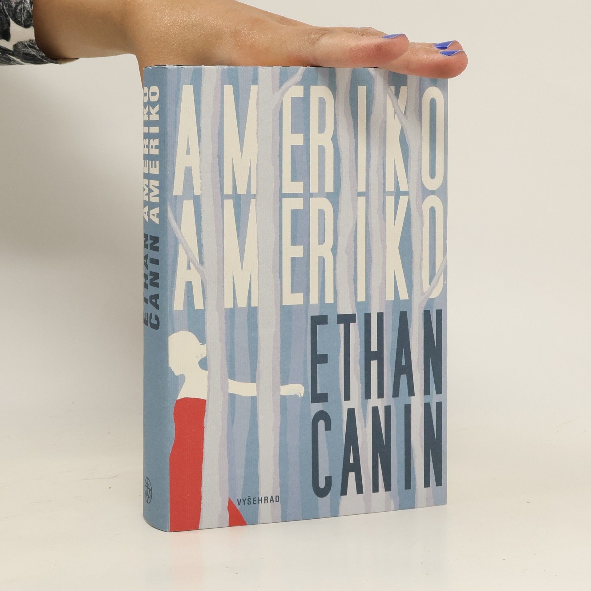 Ethan Canin Ameriko, Ameriko
