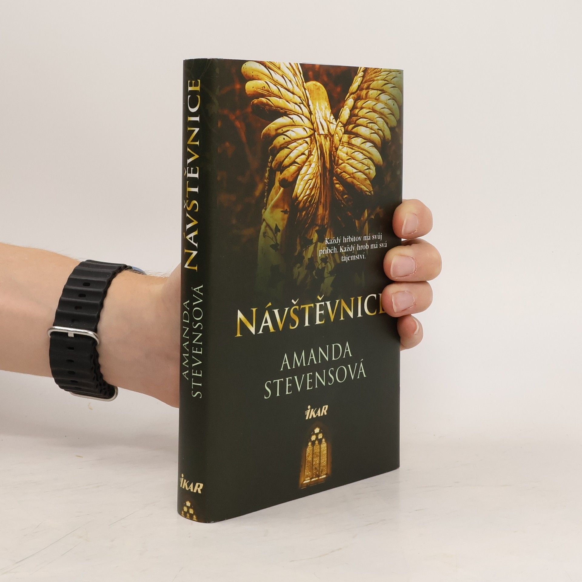 Amanda Stevens Návštěvnice