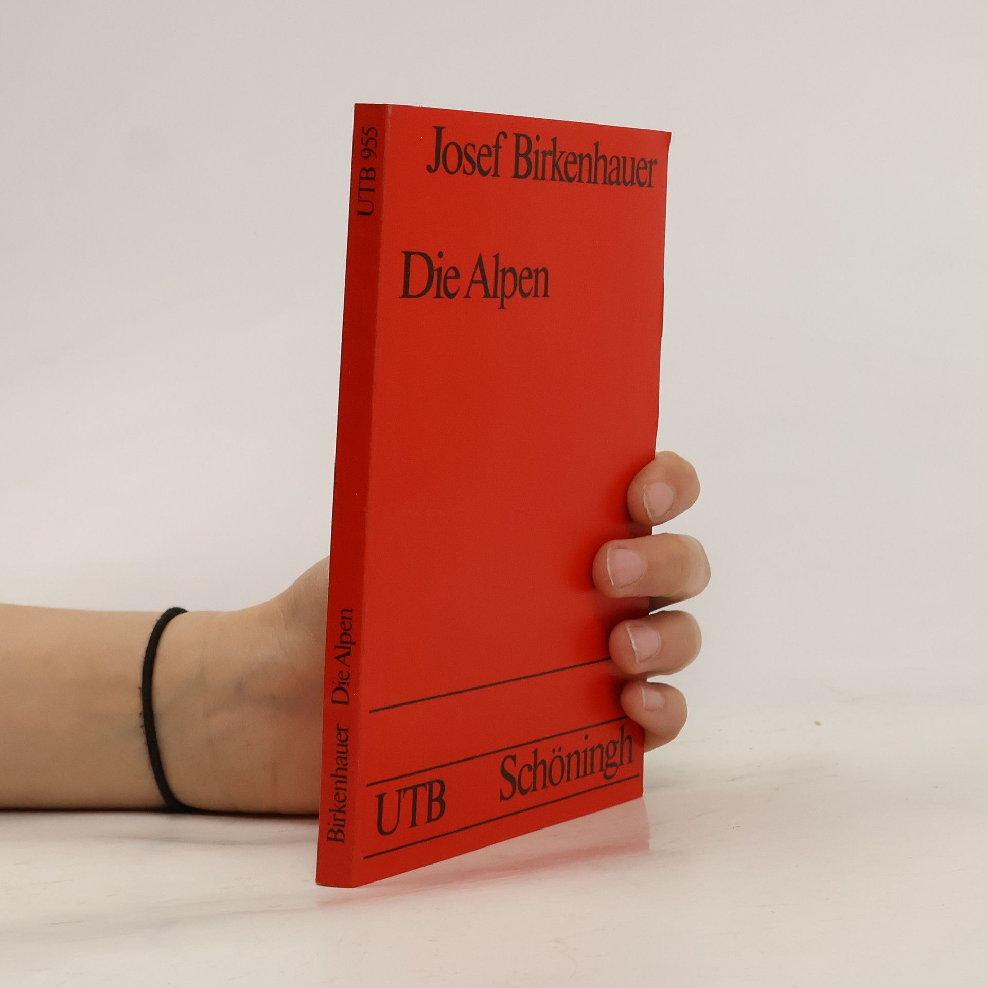 Josef Birkenhauer Die Alpen