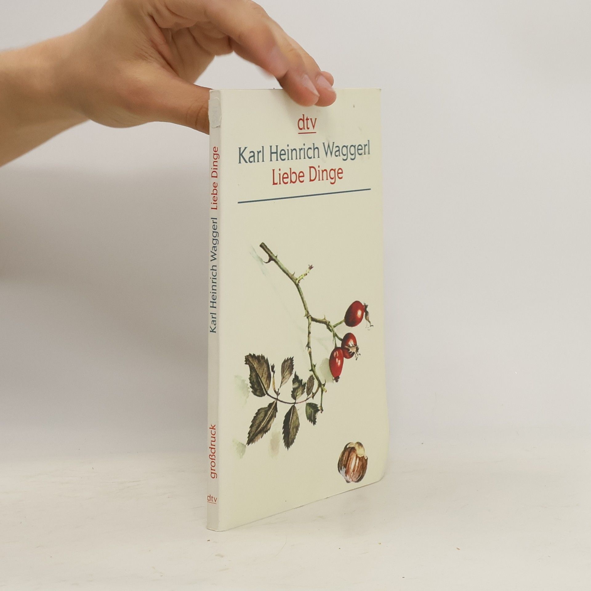 Karl Heinrich Waggerl Liebe Dinge, Großdruck