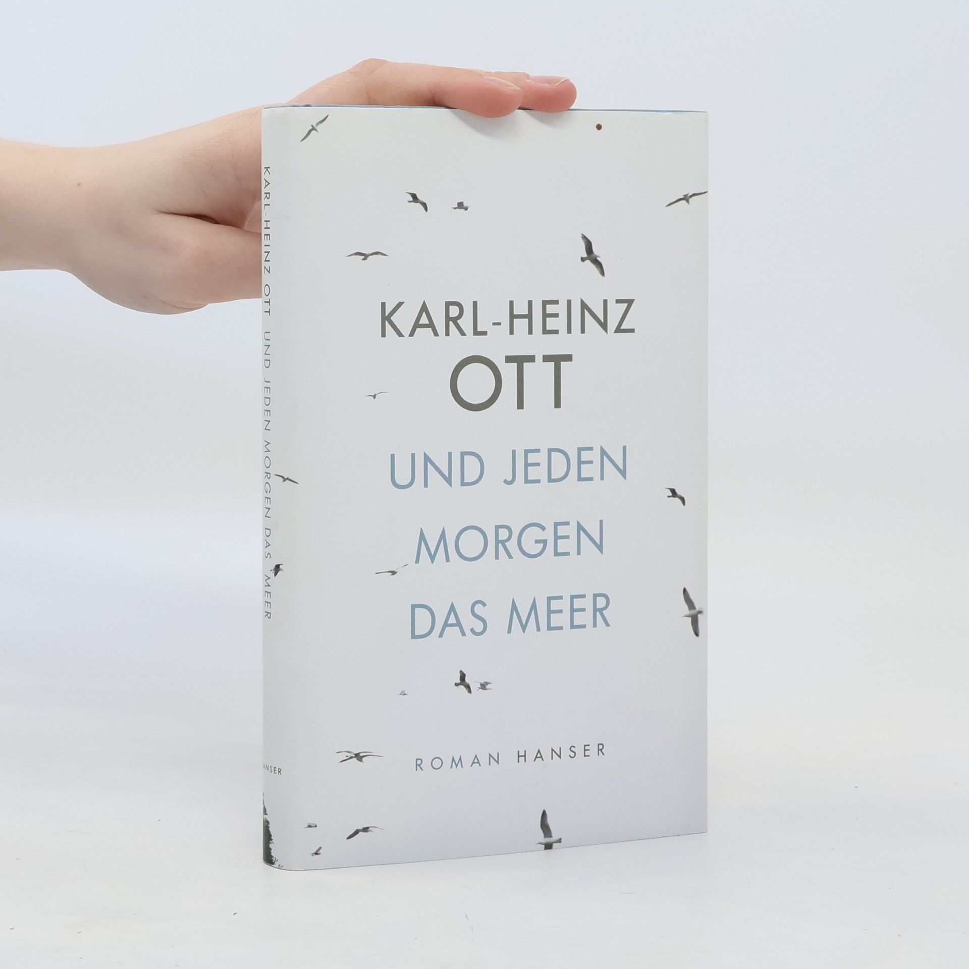Karl Heinz Ott Und jeden Morgen das Meer