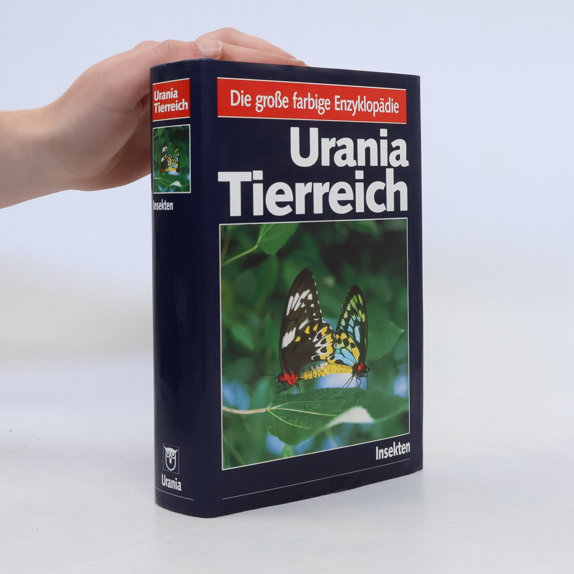 Kurt Günther Urania Tierreich. Insekten