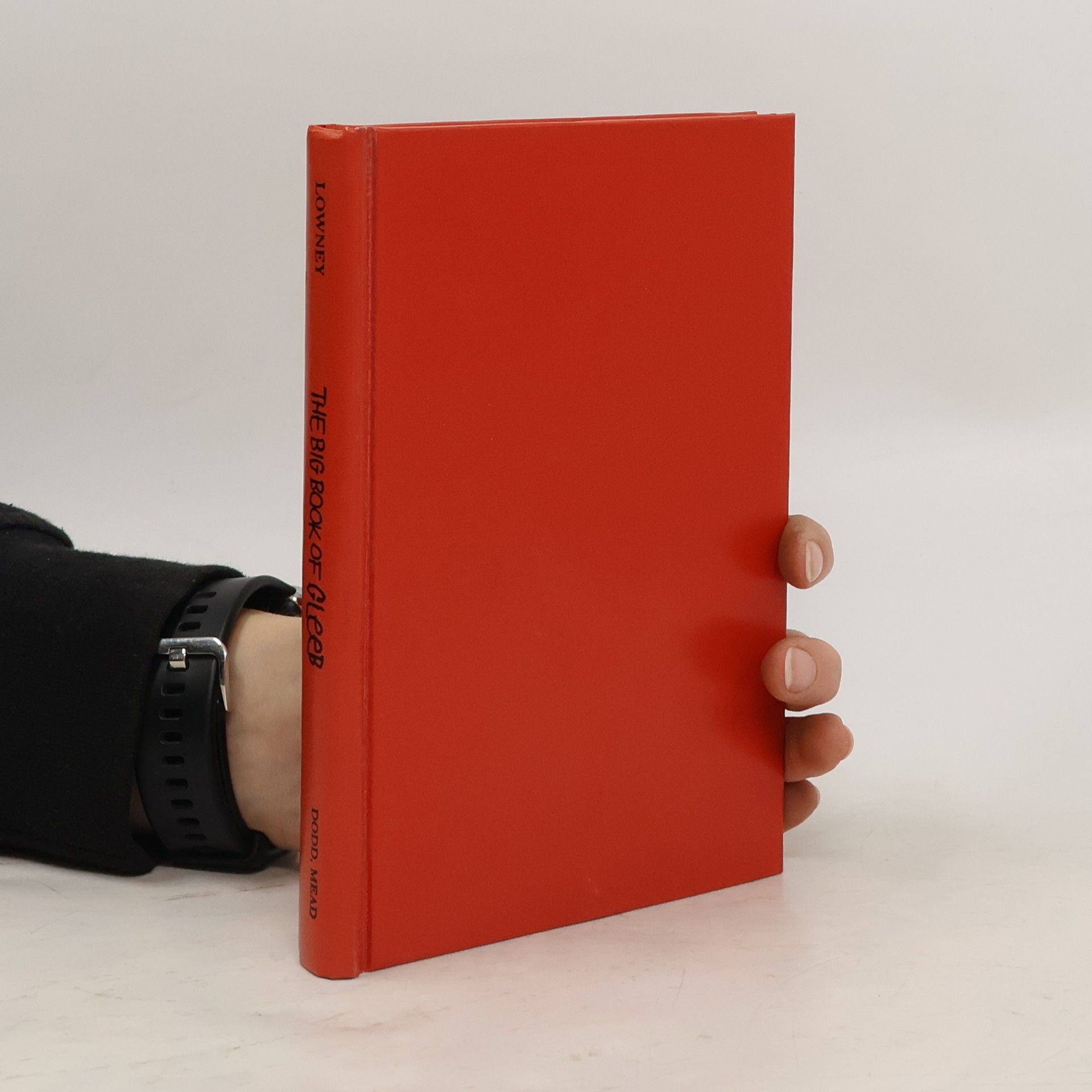 Paul B. Lowney The Big Book of Gleeb