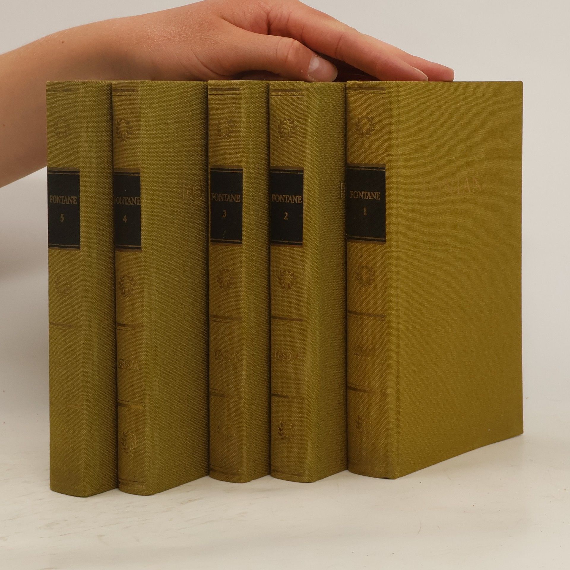Theodor Fontane Fontanes Werke in fünf Bänden 1-5