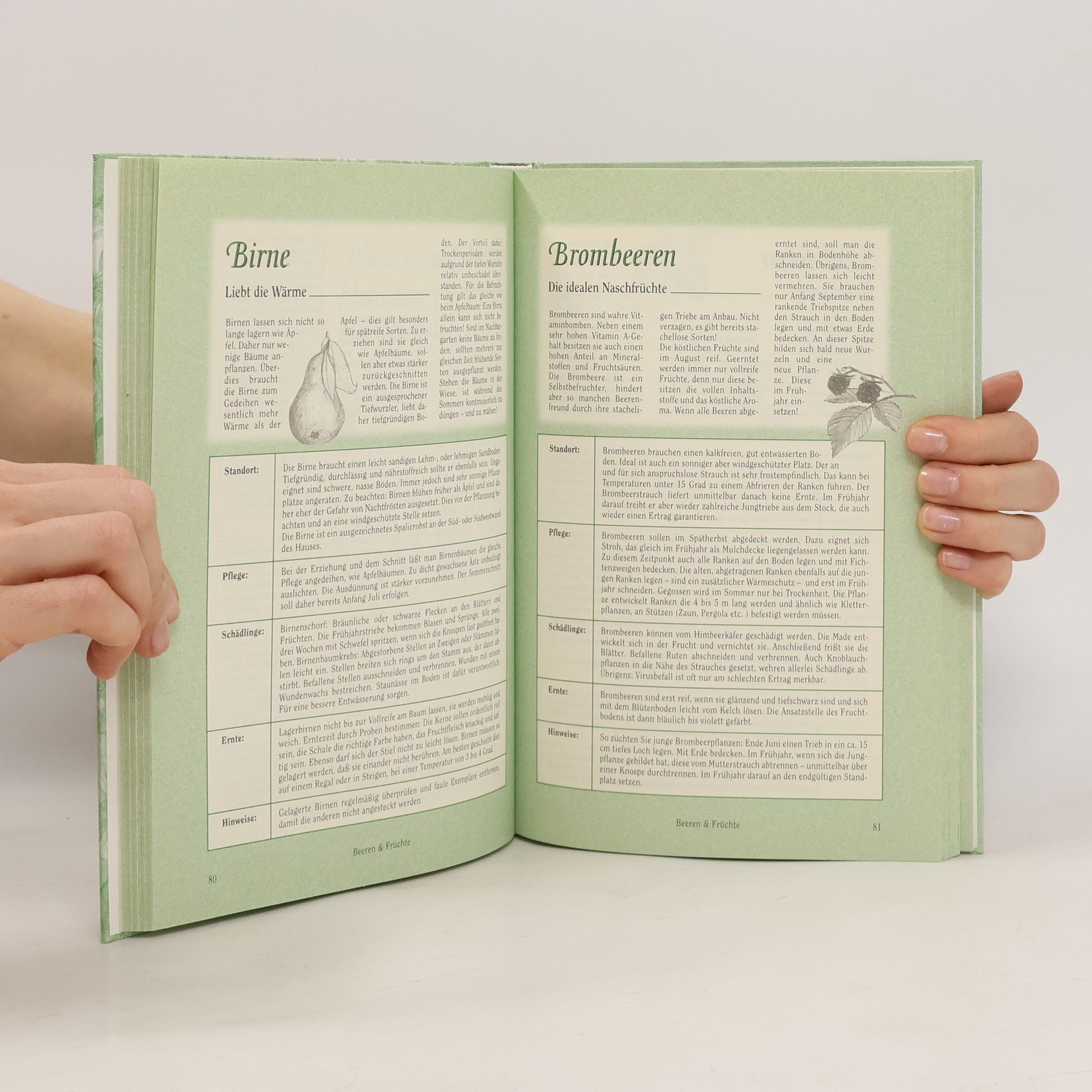 Various authors Das Gartenbuch