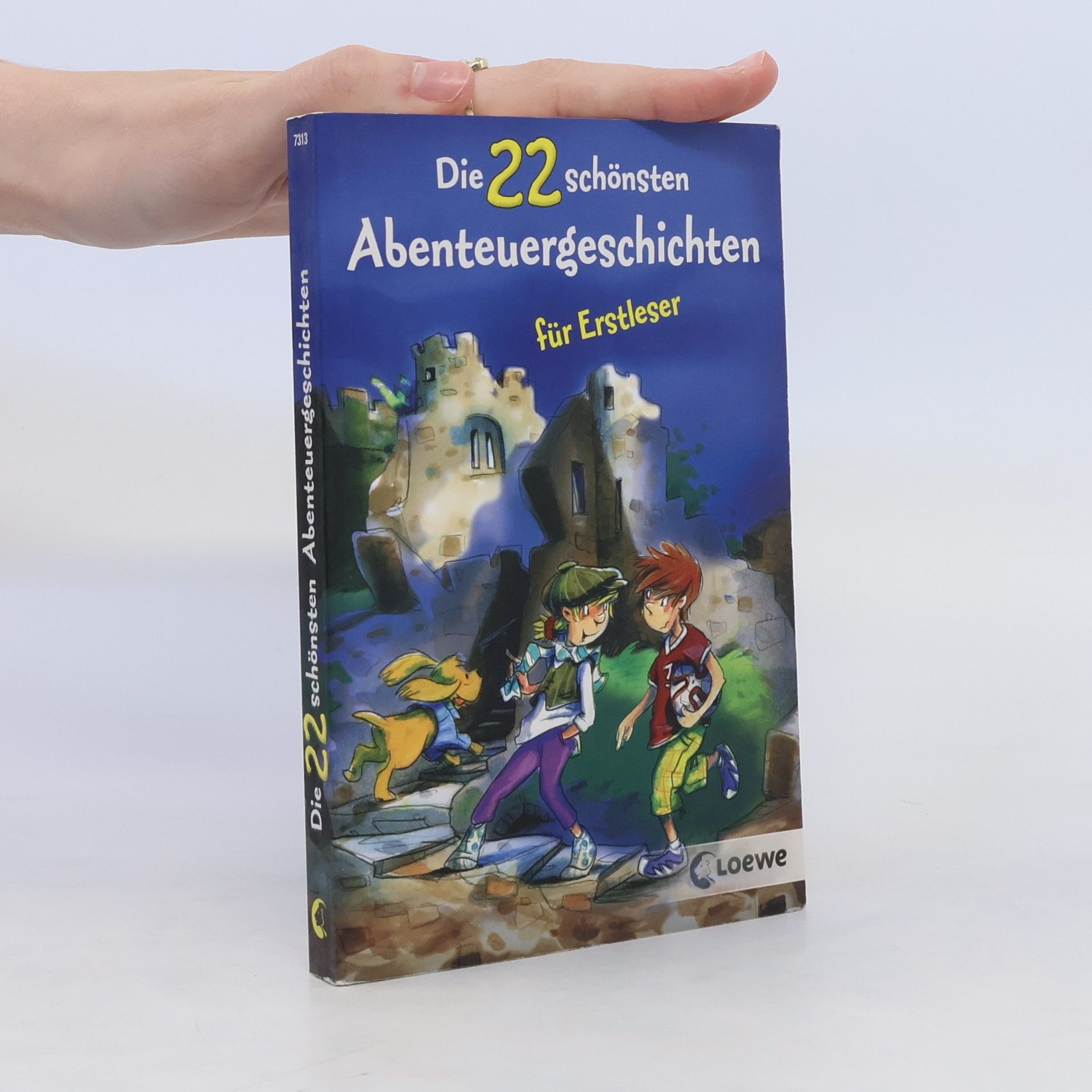 kolektiv Die 22 schönsten Abenteuergeschichten für Erstleser
