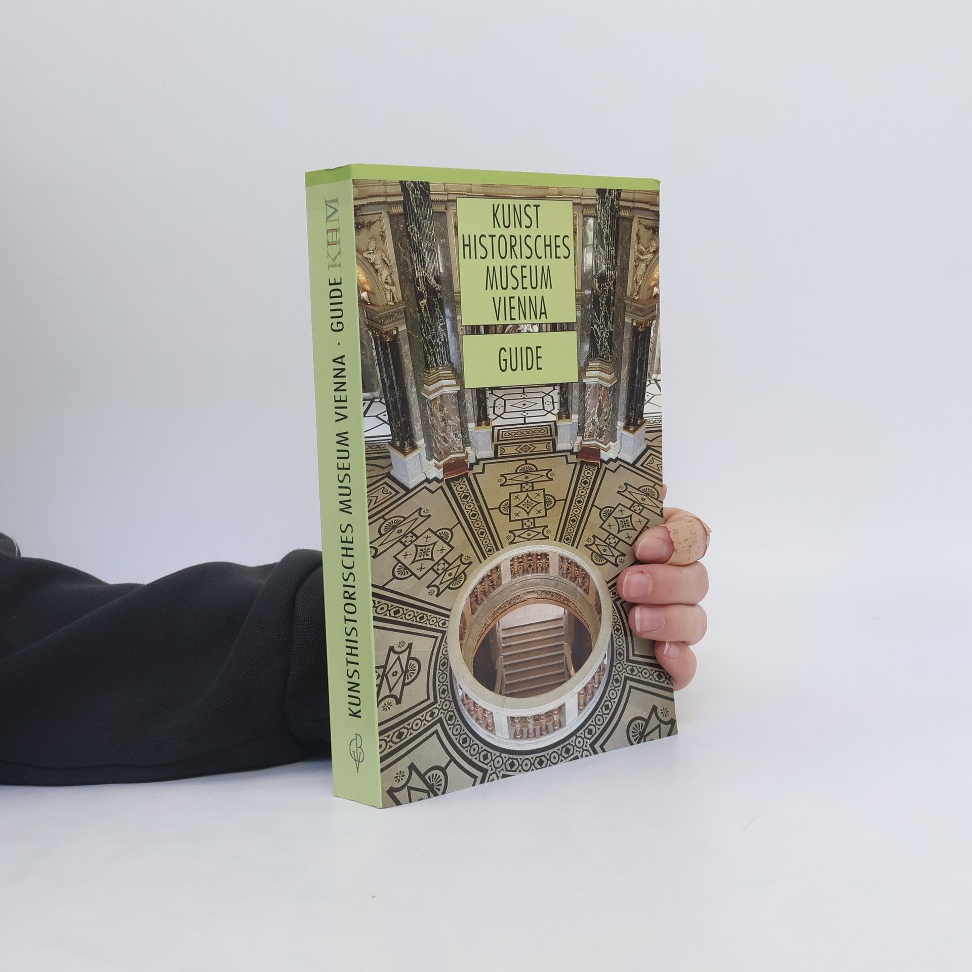 Kunsthistorisches Museum Vienna : guide