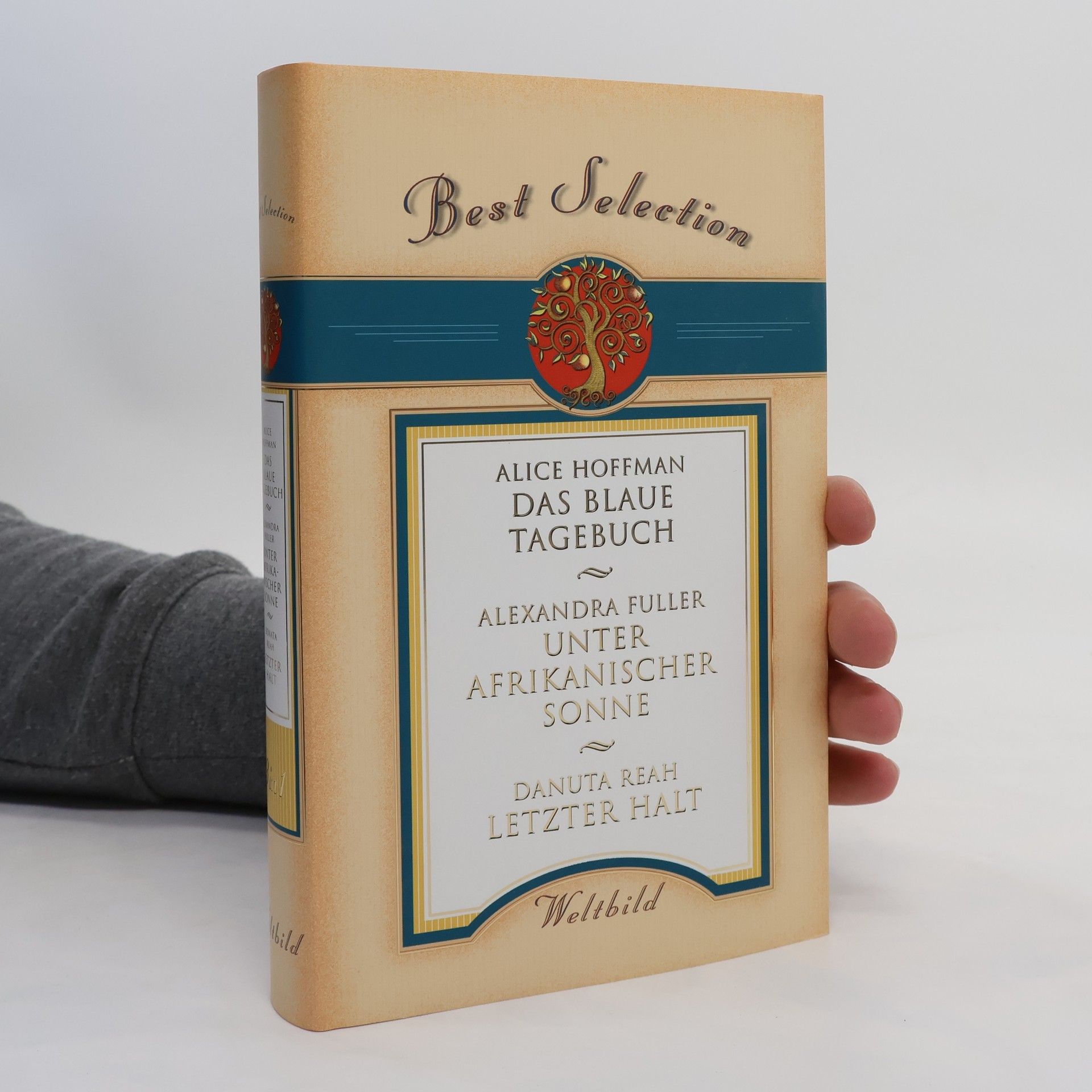 Alice Hoffmann Best Selection. Das Blaue Tagebuch. Unter Afrikanischer Sonne. Letzter Halt.