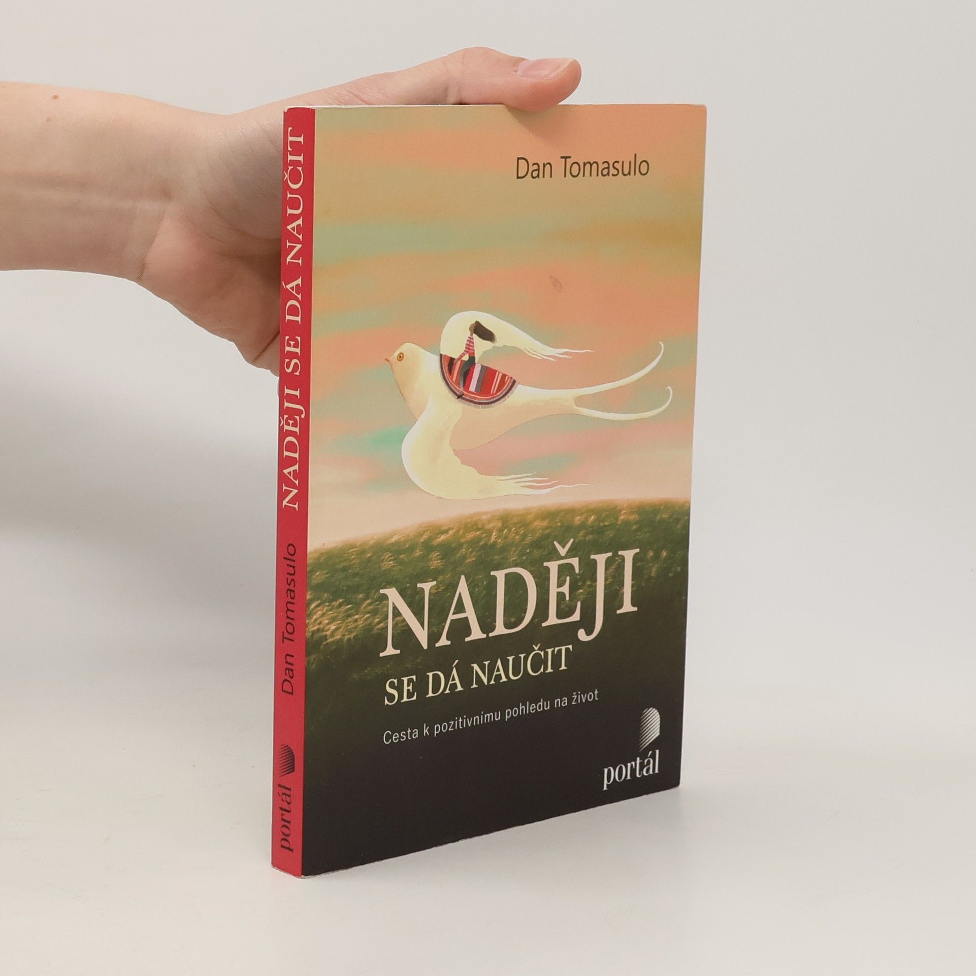 Daniel J. Tomasulo Naději se dá naučit : cesta k pozitivnímu pohledu na život