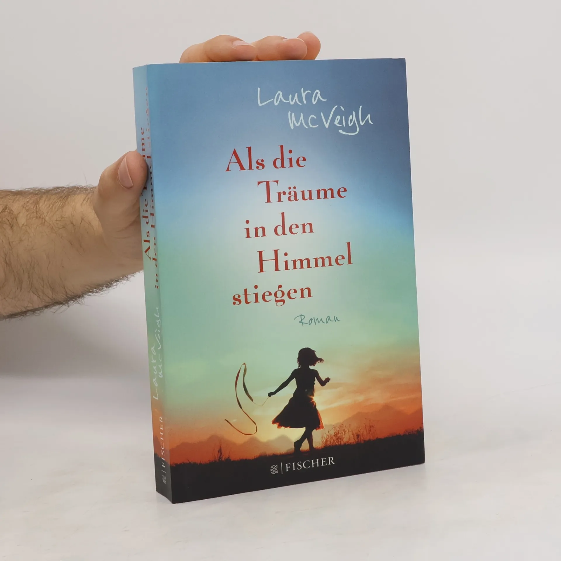Als die Träume in den Himmel stiegen | Buch | Laura McVeigh