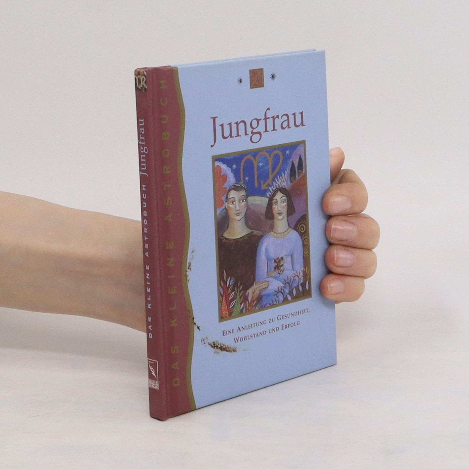 Amy Stern Die Jungfrau