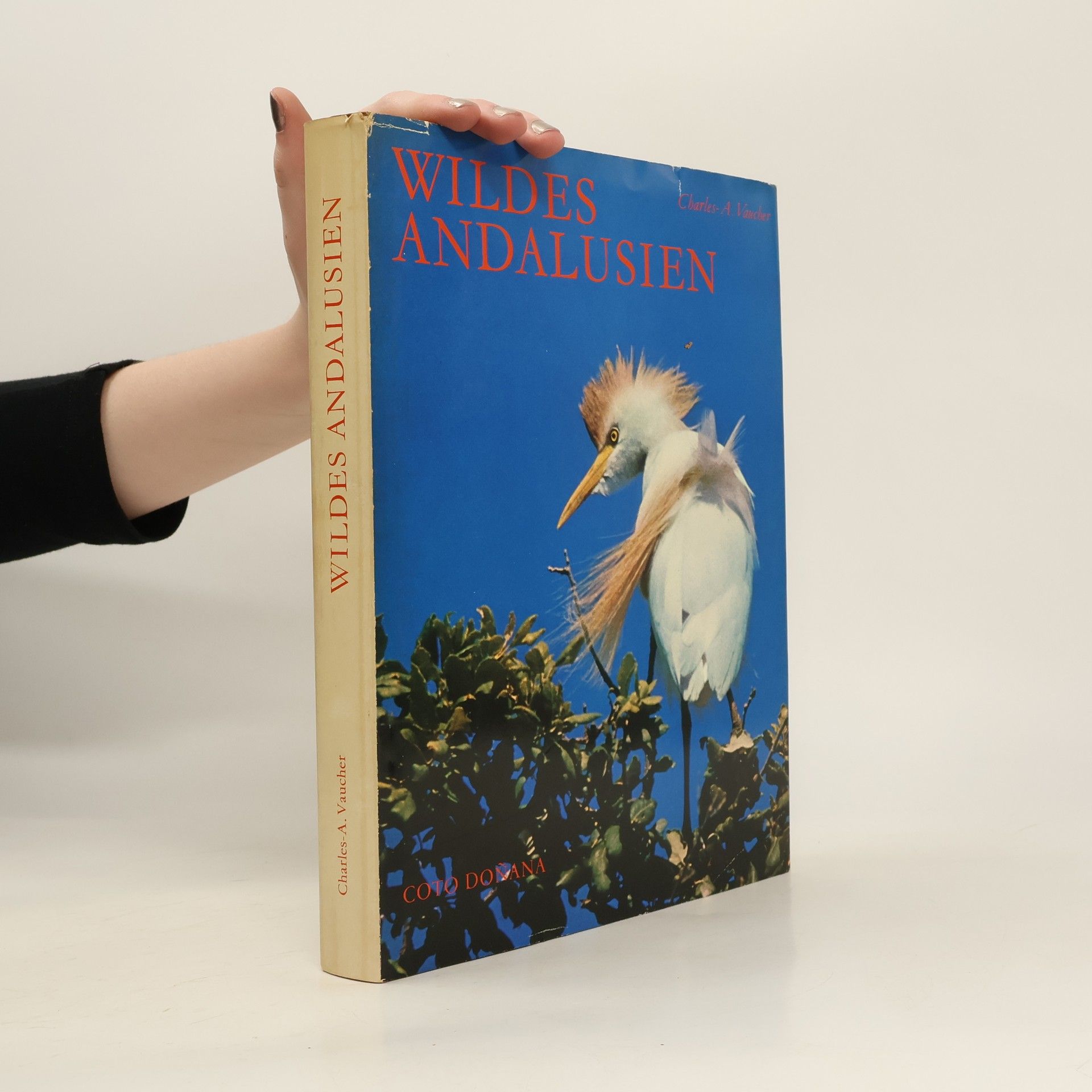 Charles-A. Vaucher Wildes Andalusien