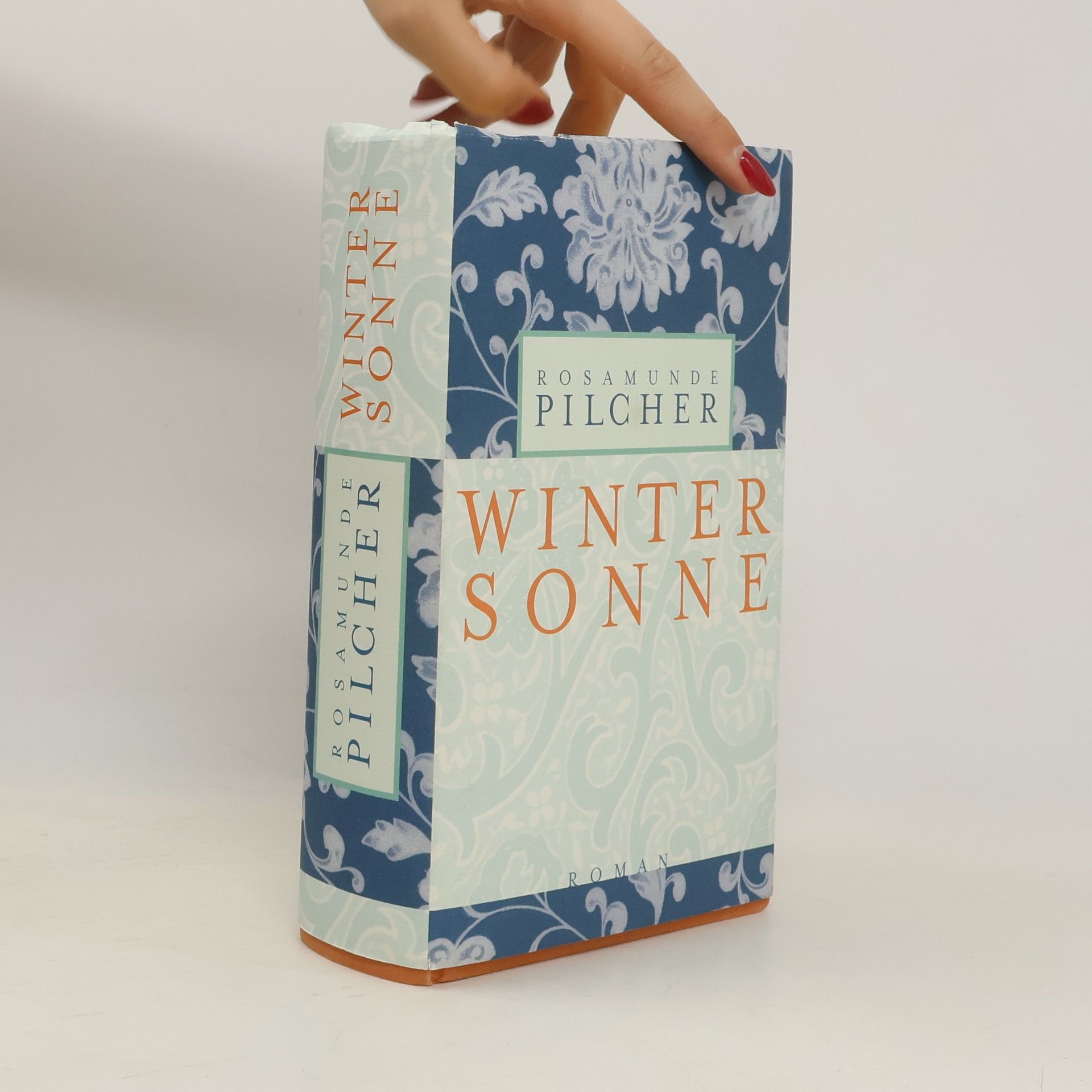 Rosamunde Pilcher Winter Sonne