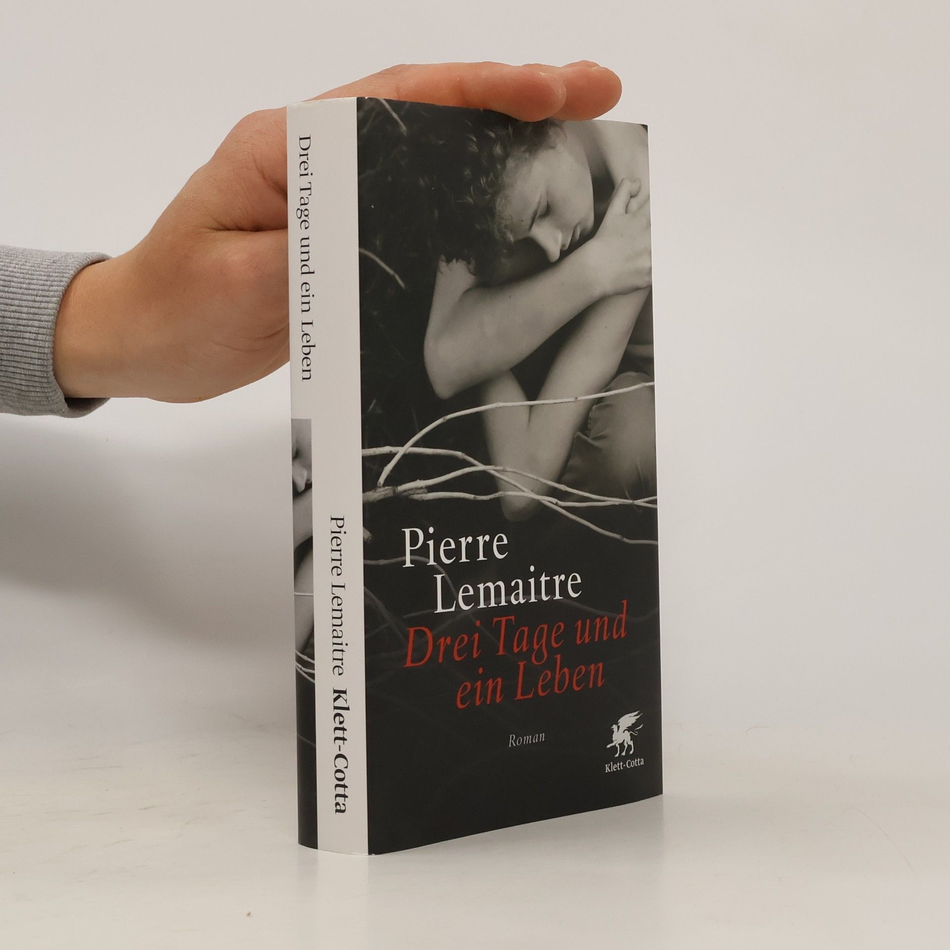 Pierre Lemaitre Drei Tage und ein Leben