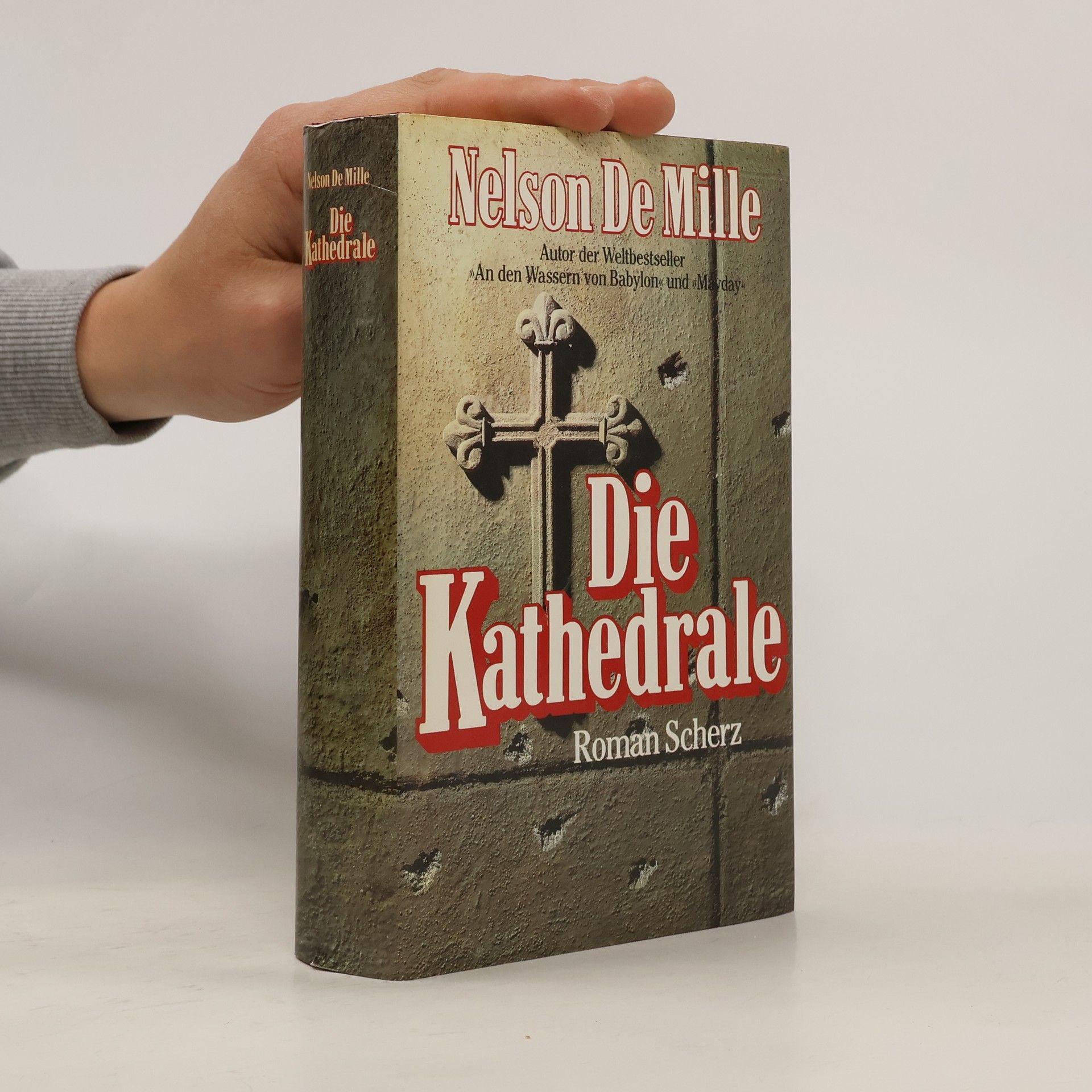 Nelson DeMille Die Kathedrale