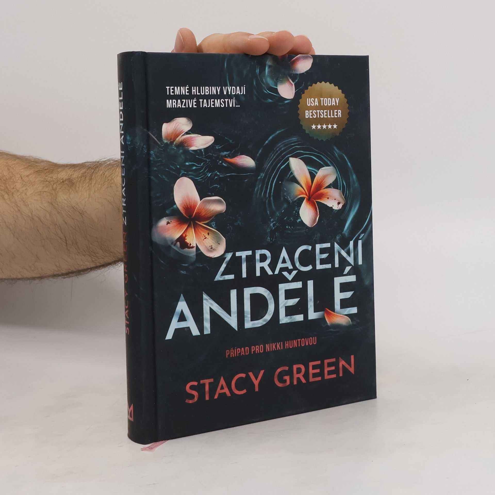 Stacy Green Ztracení andělé
