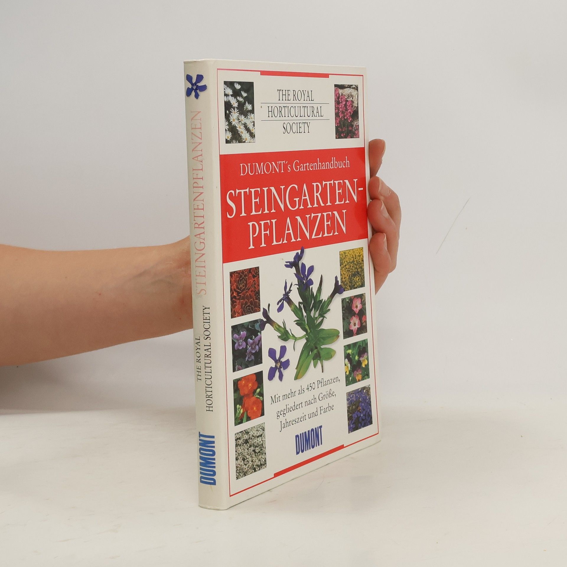 Harda Kuwer Steingartenpflanzen