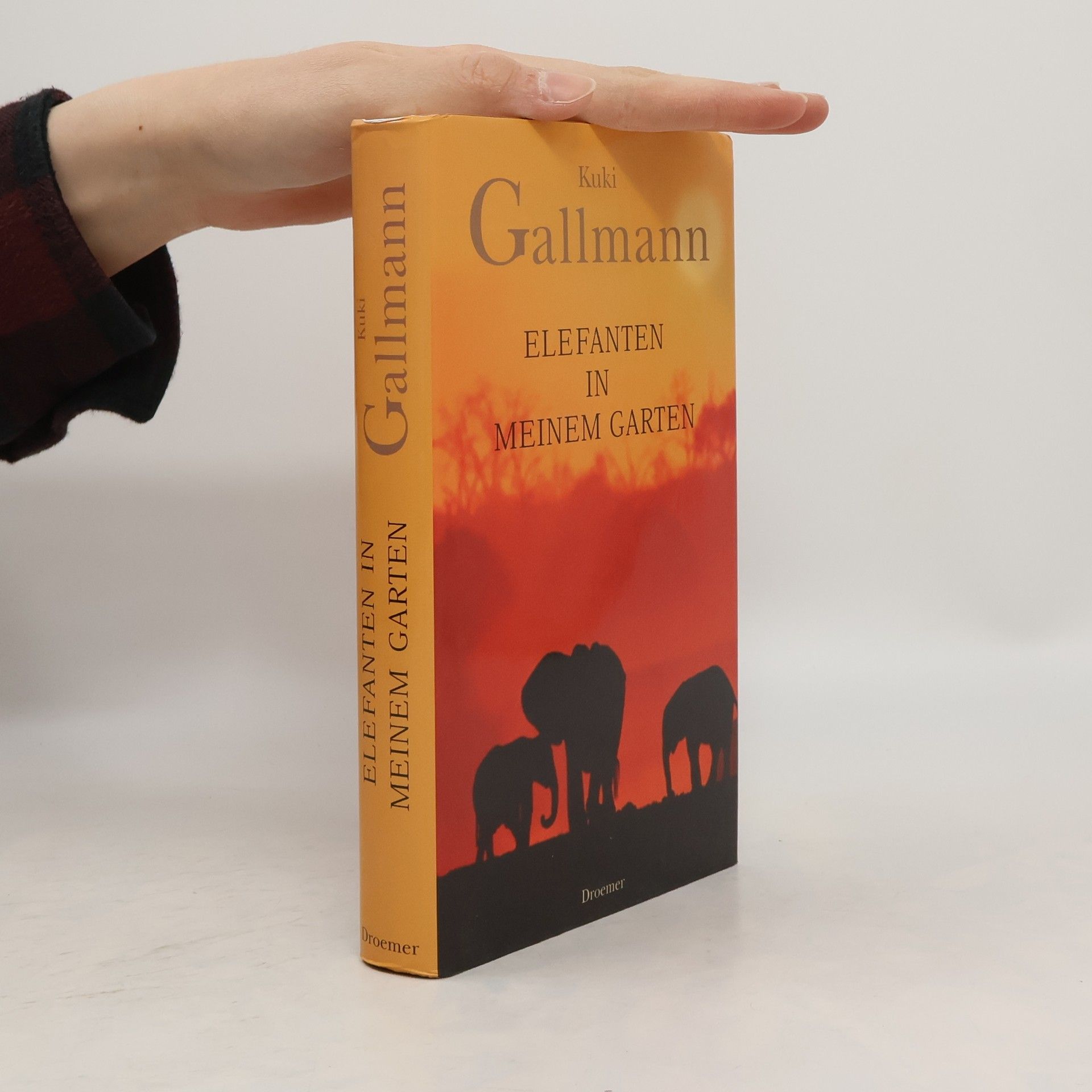 Kuki Gallmann Elefanten in meinem Garten