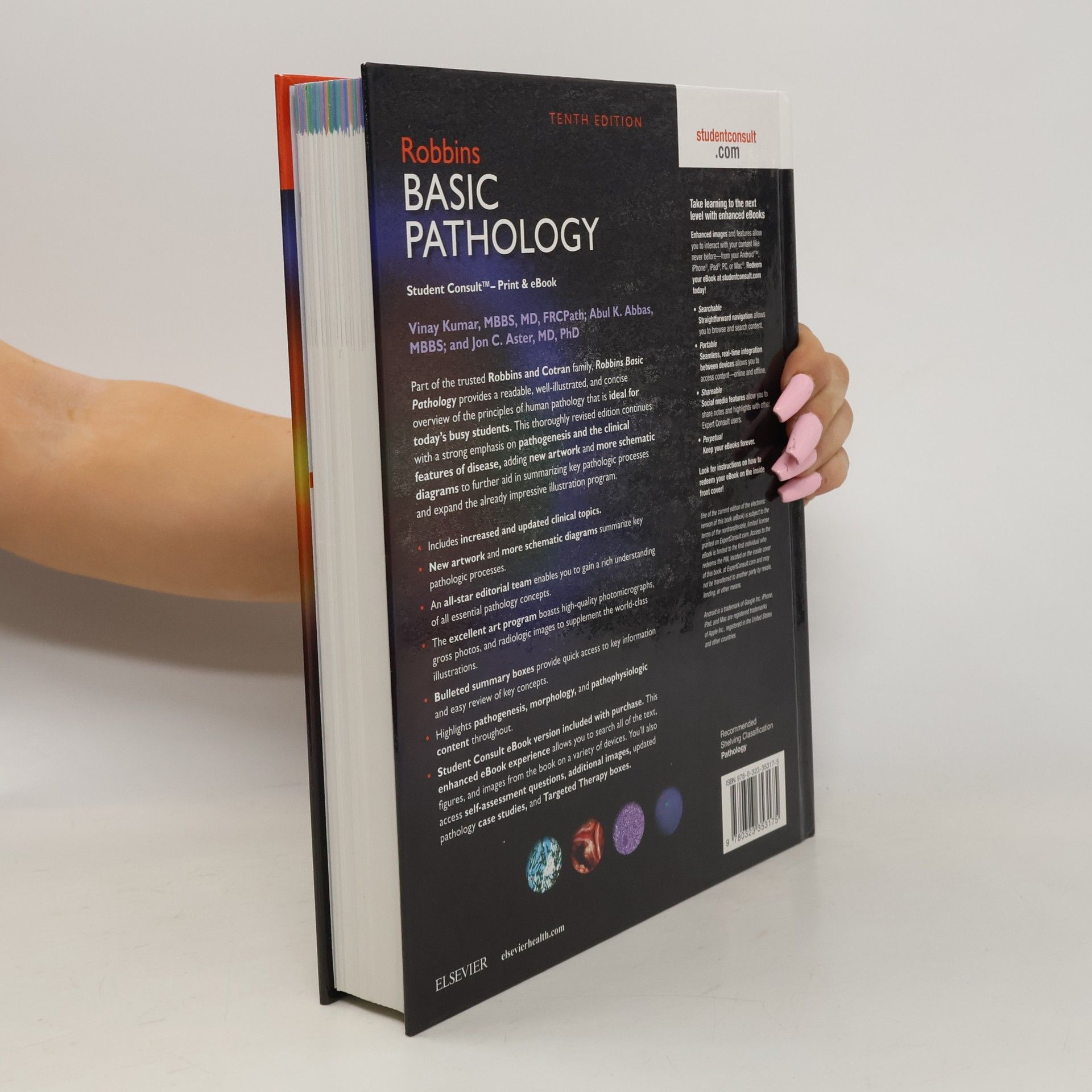 Viay Kumar Robbins Basic Pathology