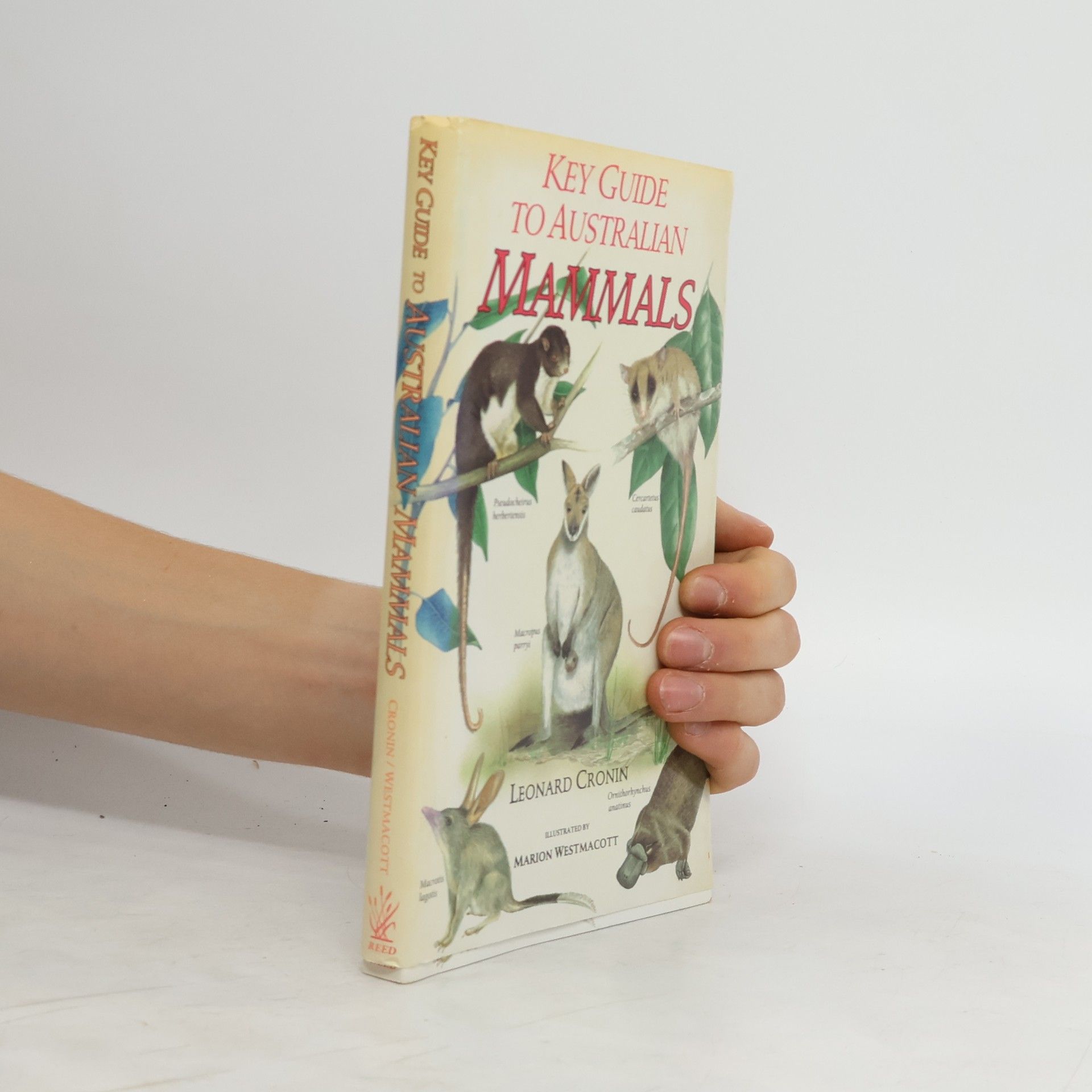 Leonard Cronin Key Guide to Australian Mammals