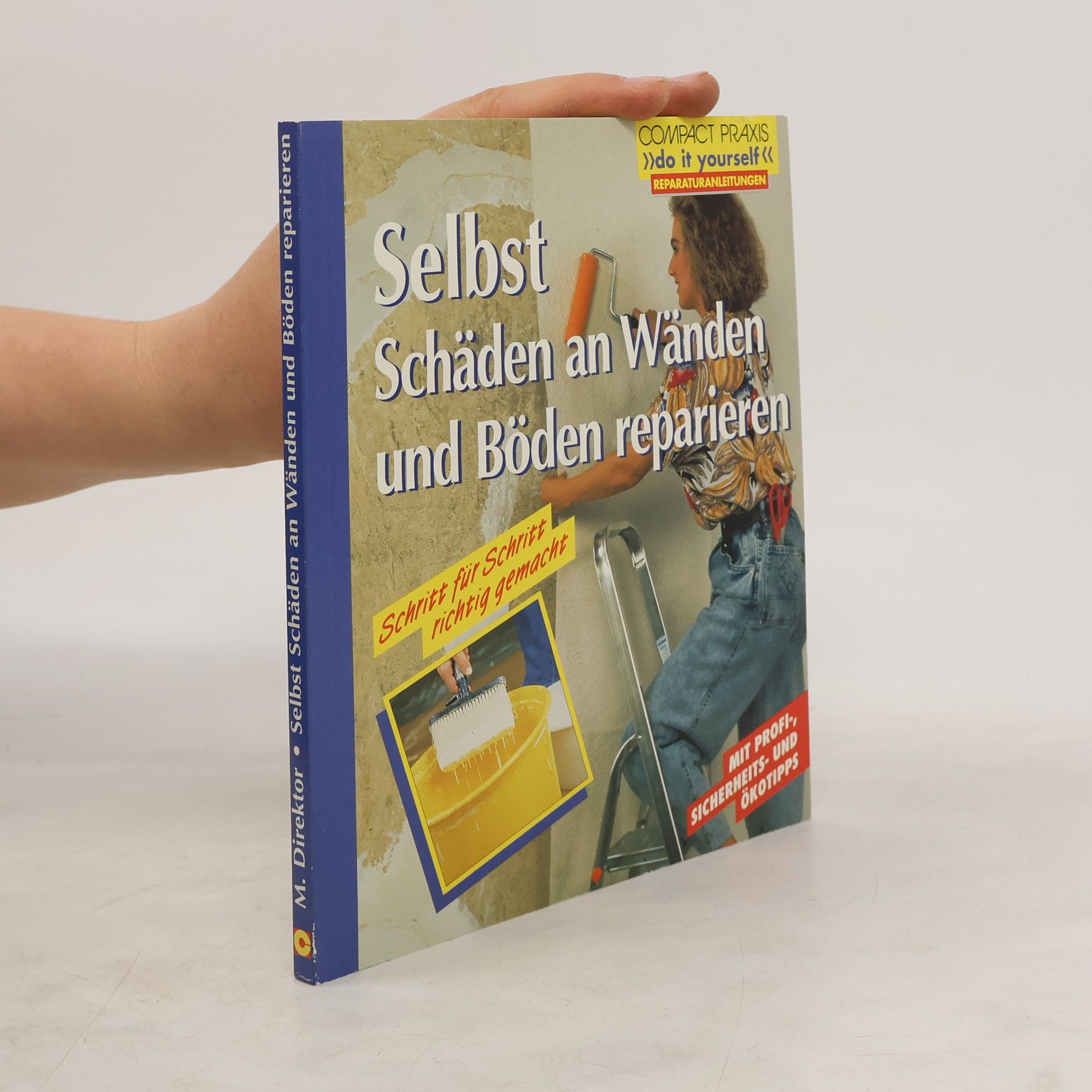 Max Direktor Selbst Schäden an Wänden und Böden reparieren