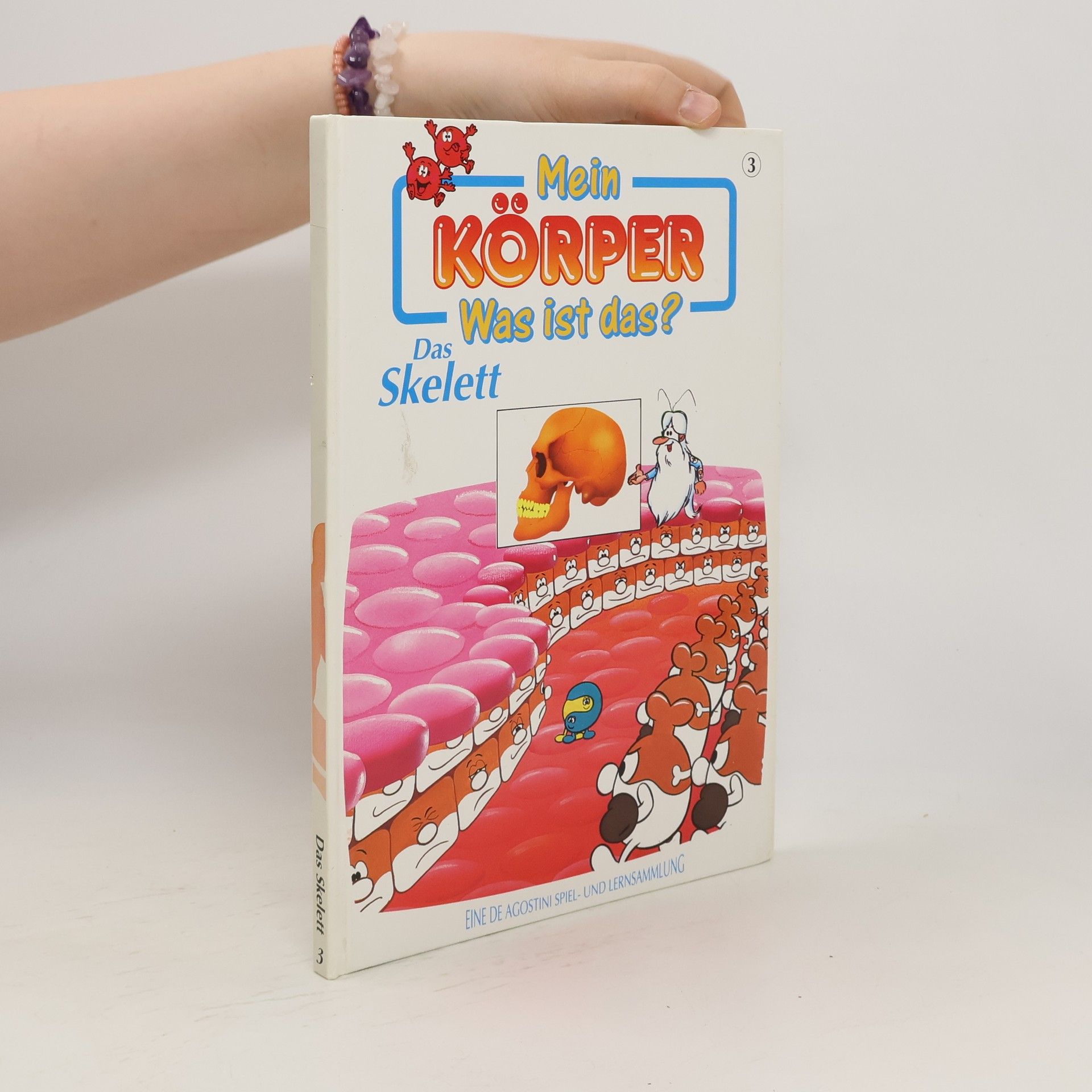 kolektiv Mein Körper. Was ist das? Das Skelett