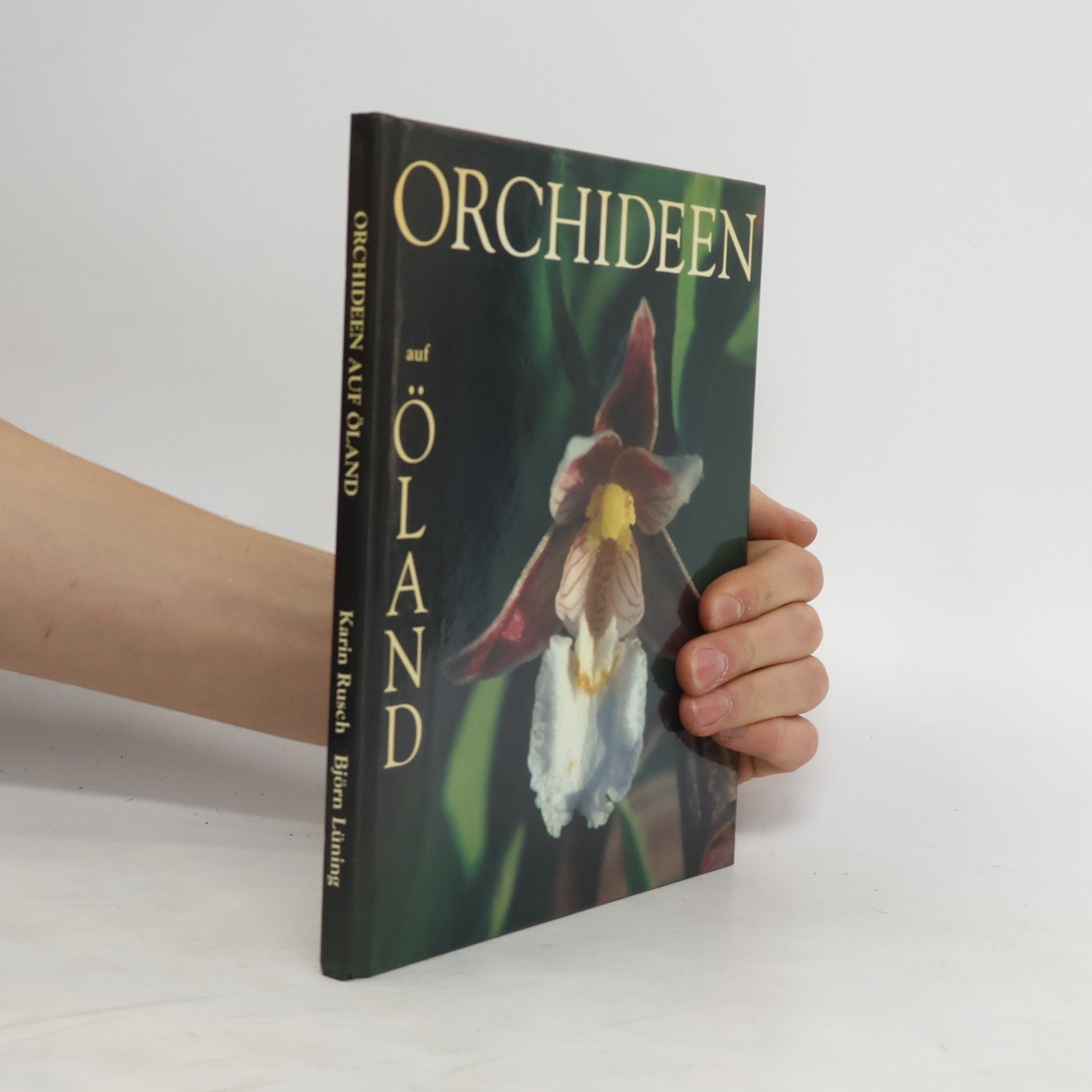 Björn Lüning Orchideen auf Öland