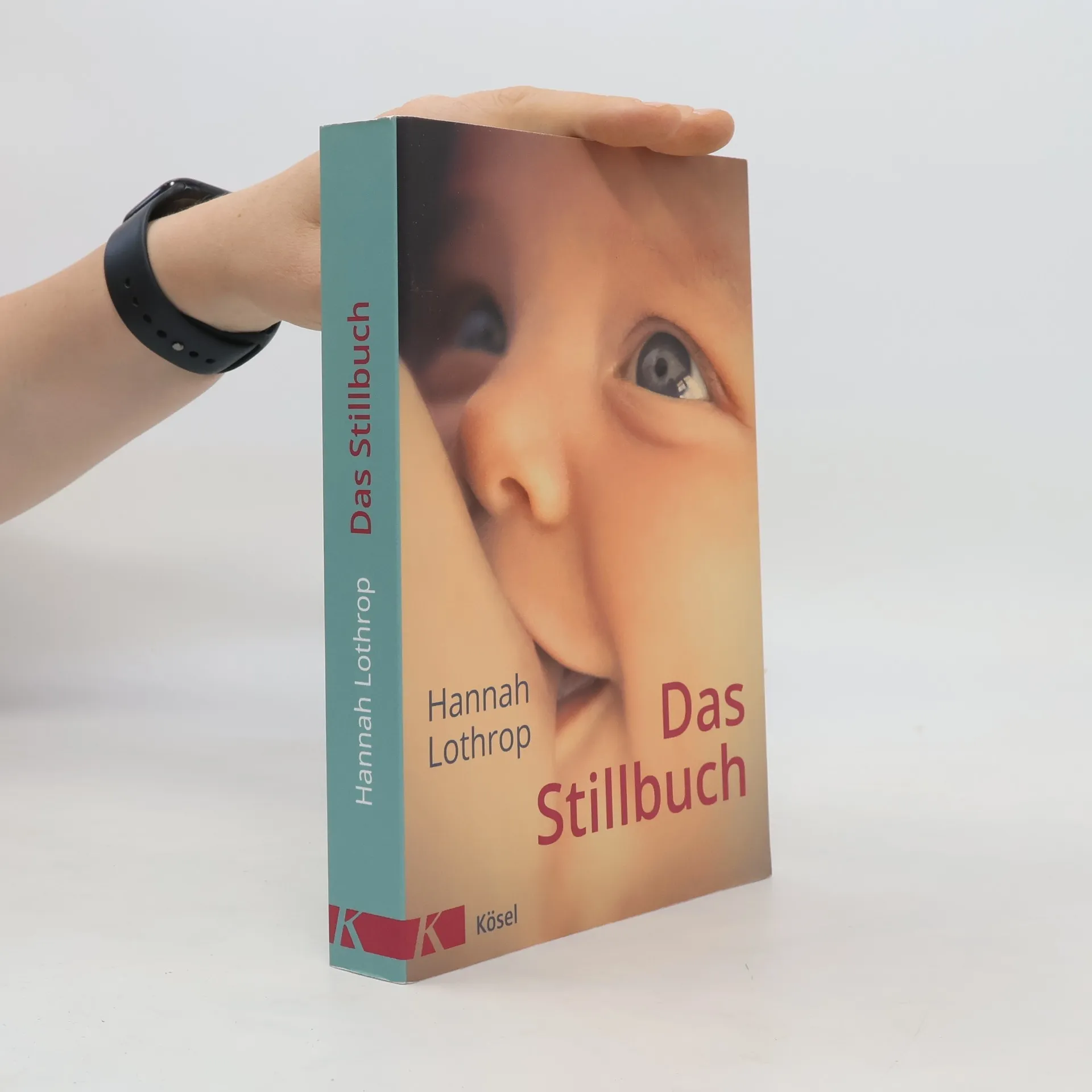 Das Stillbuch | Buch | Hanny Lothrop