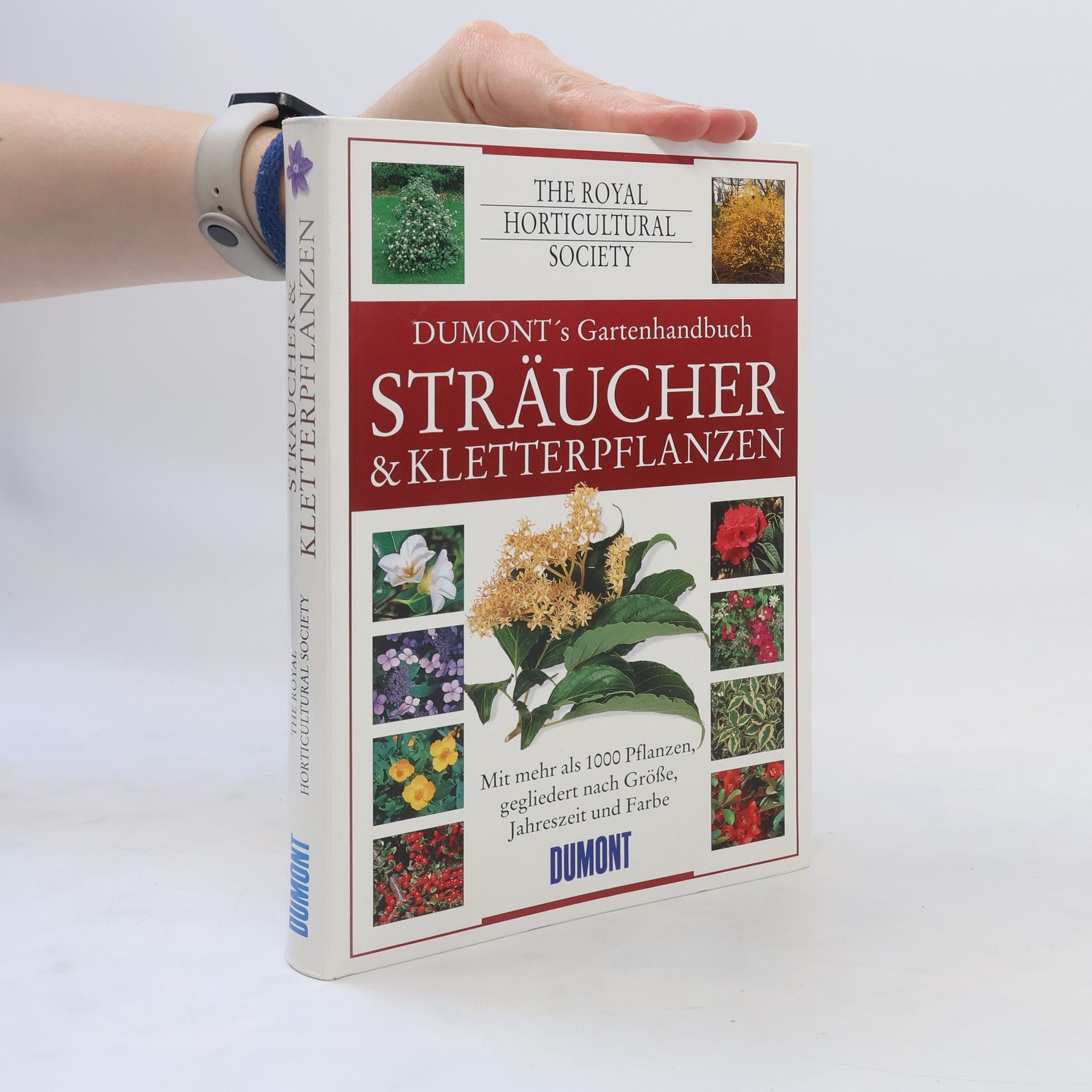 Harda Kuwer Sträucher und Kletterpflanzen