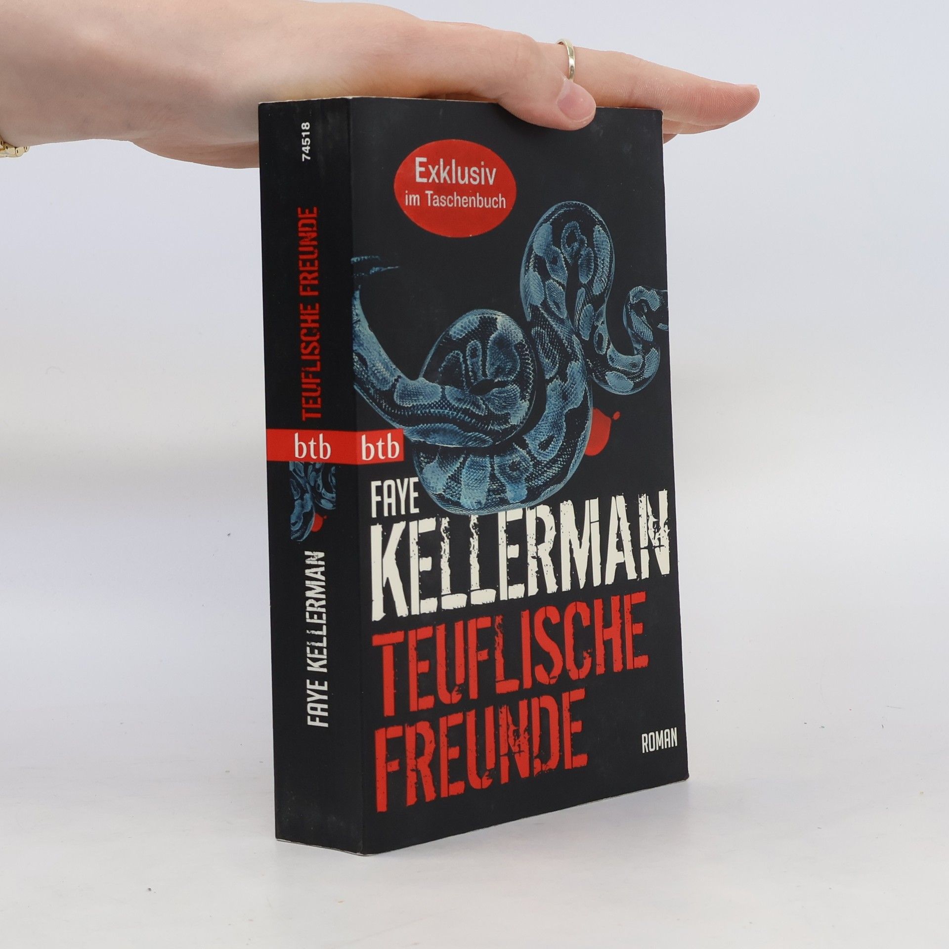 Faye Kellerman Teuflische Freunde