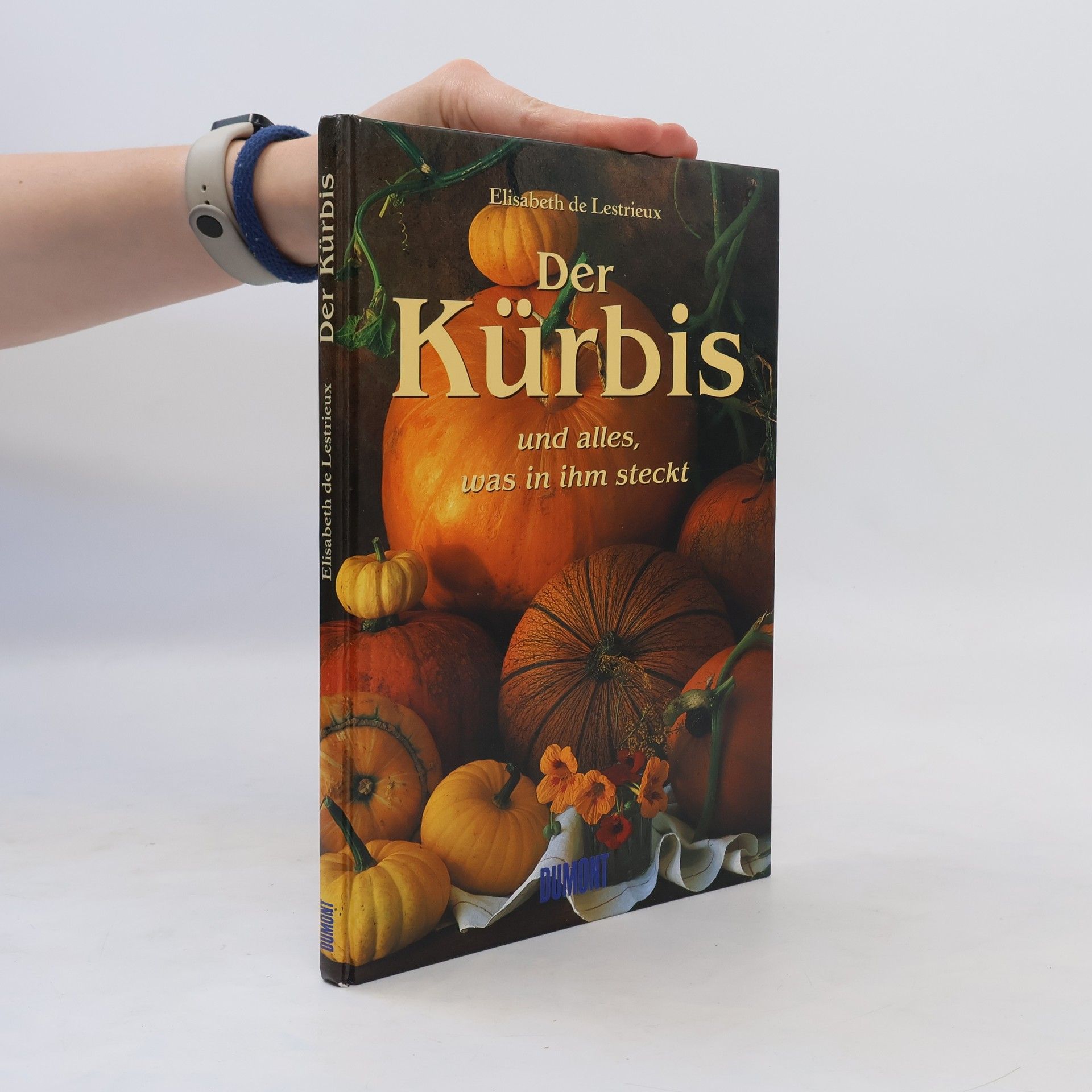 Elisabeth de Lestrieux Der Kürbis und alles, was in ihm steckt