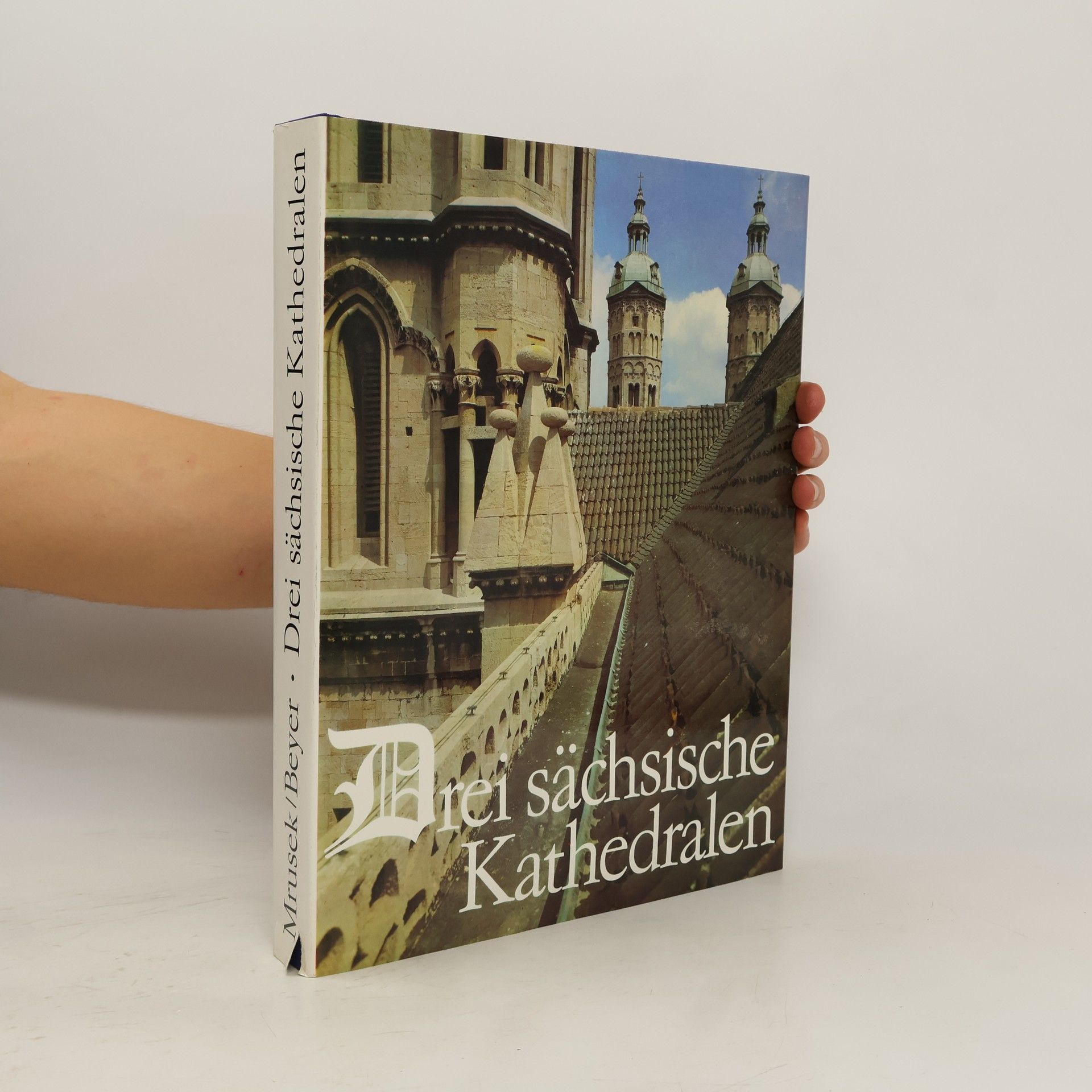 Drei sächsische Kathedralen