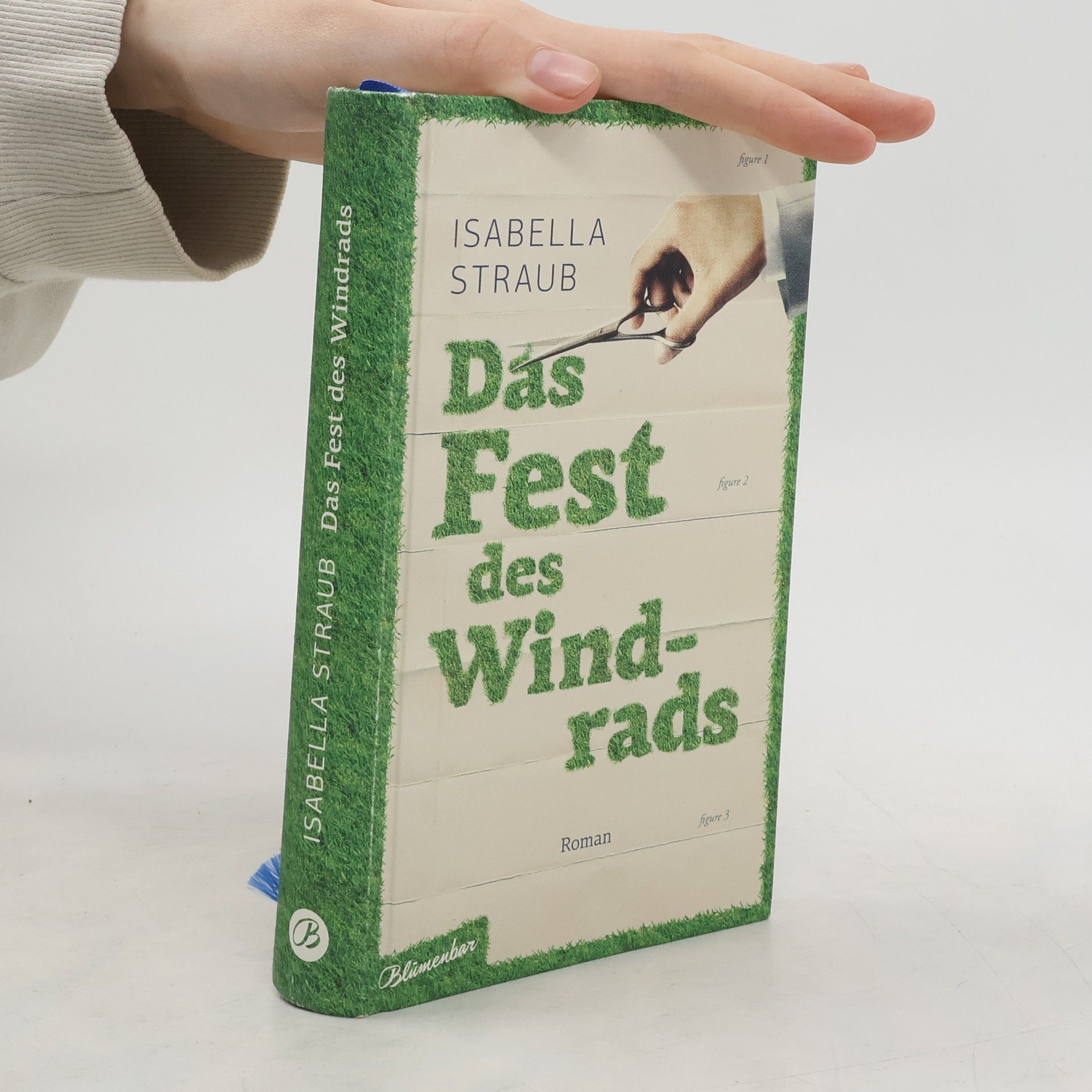 Isabella Straub Das Fest des Windrads