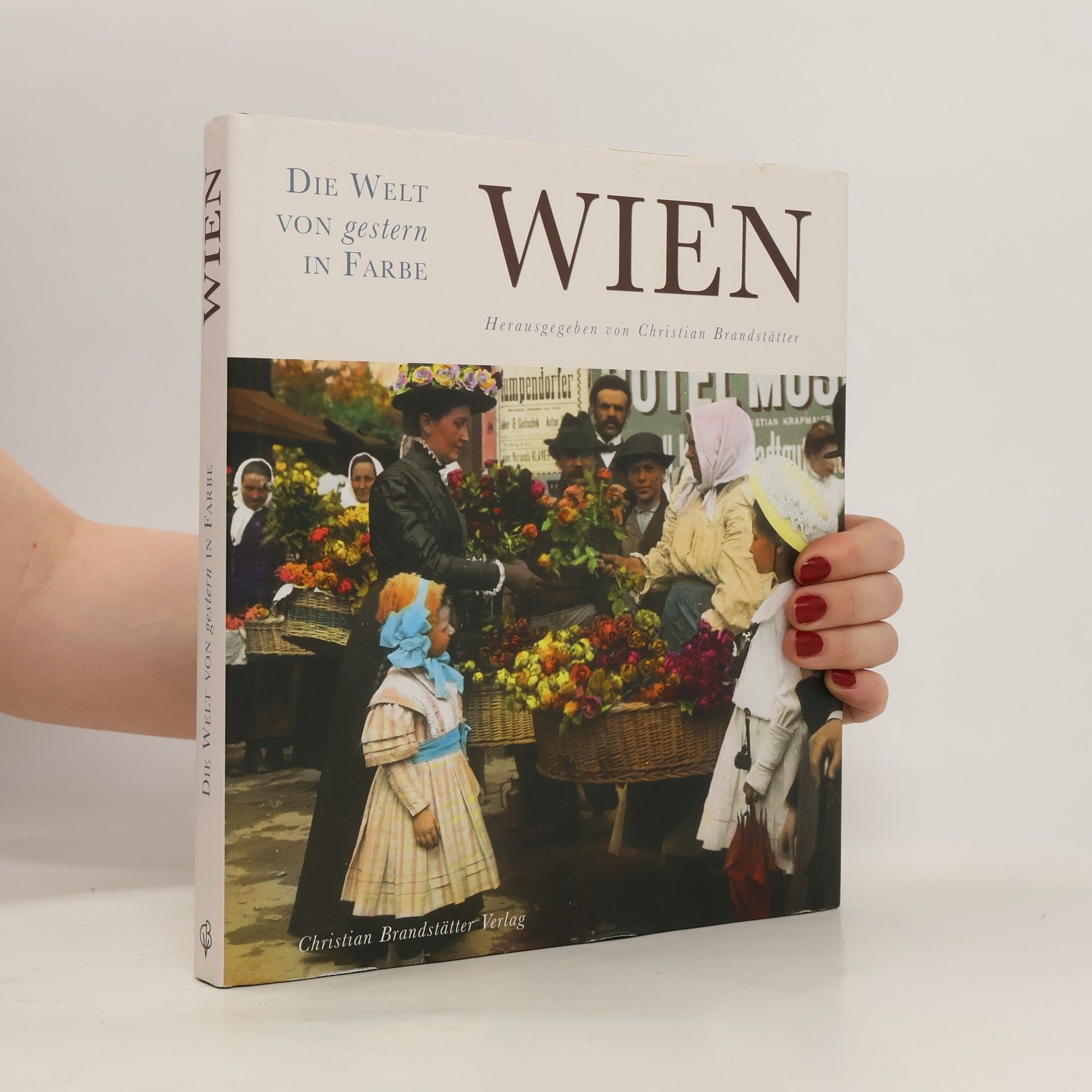 Christian Brandstätter Die Welt von gestern in Farbe: Wien