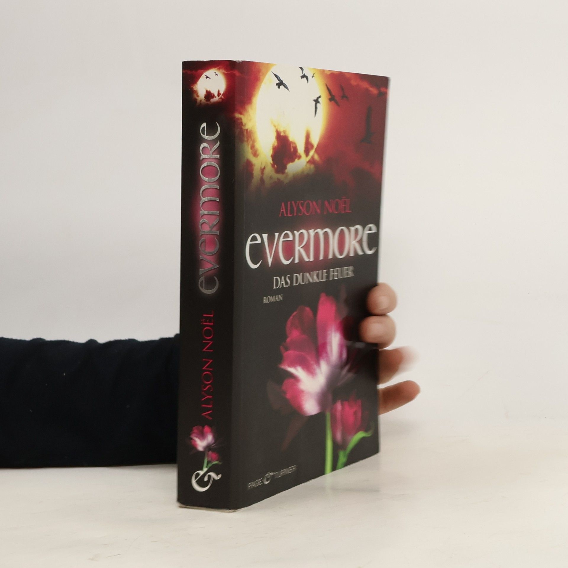 Alyson Noël Evermore: Das dunkle Feuer