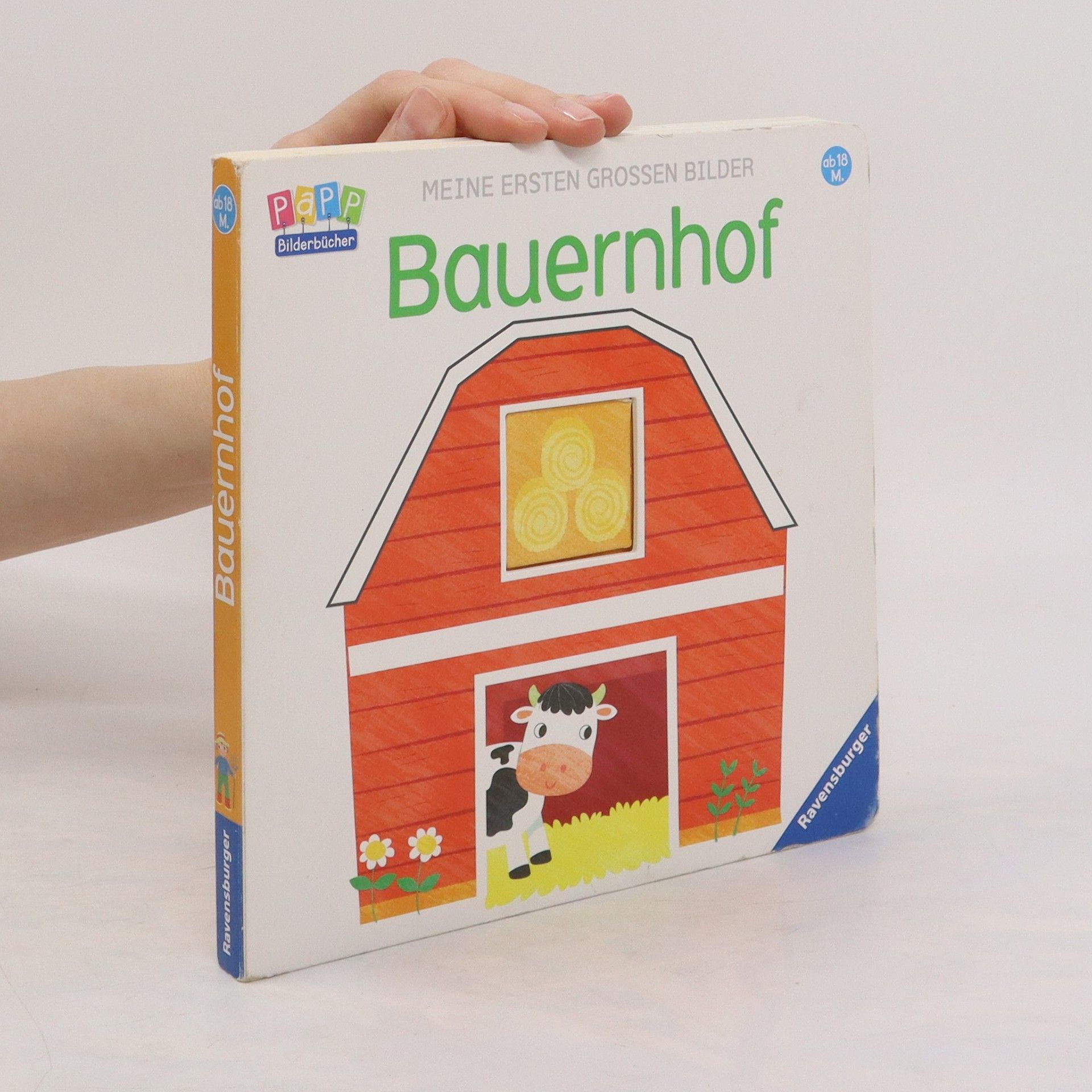 Fhiona Galloway Bauernhof