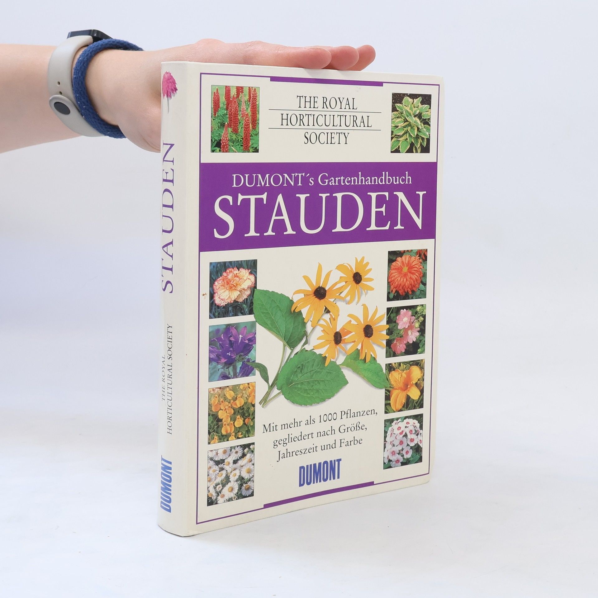 Reinhard Ferstel Stauden