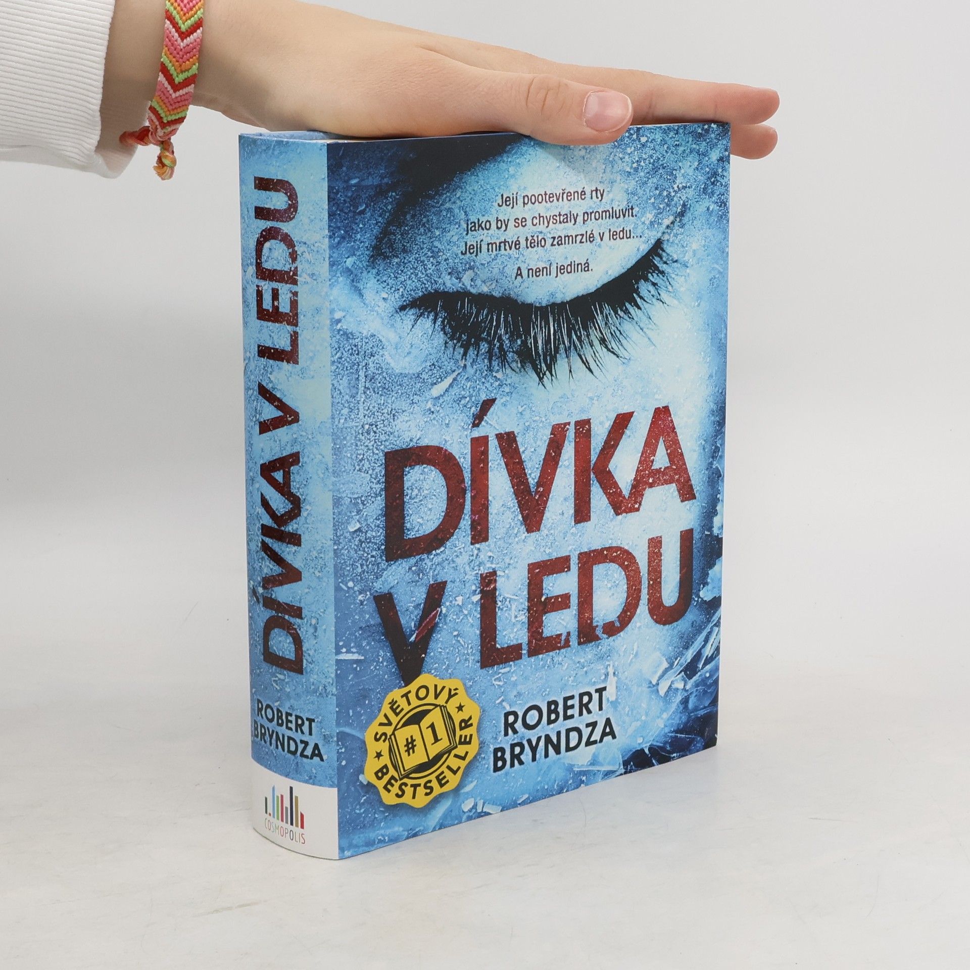 Robert Bryndza Dívka v ledu