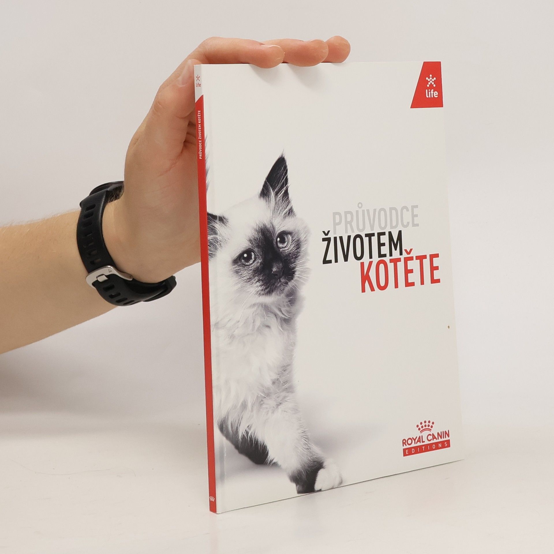 Collectif d'auteurs Průvodce životem kotěte