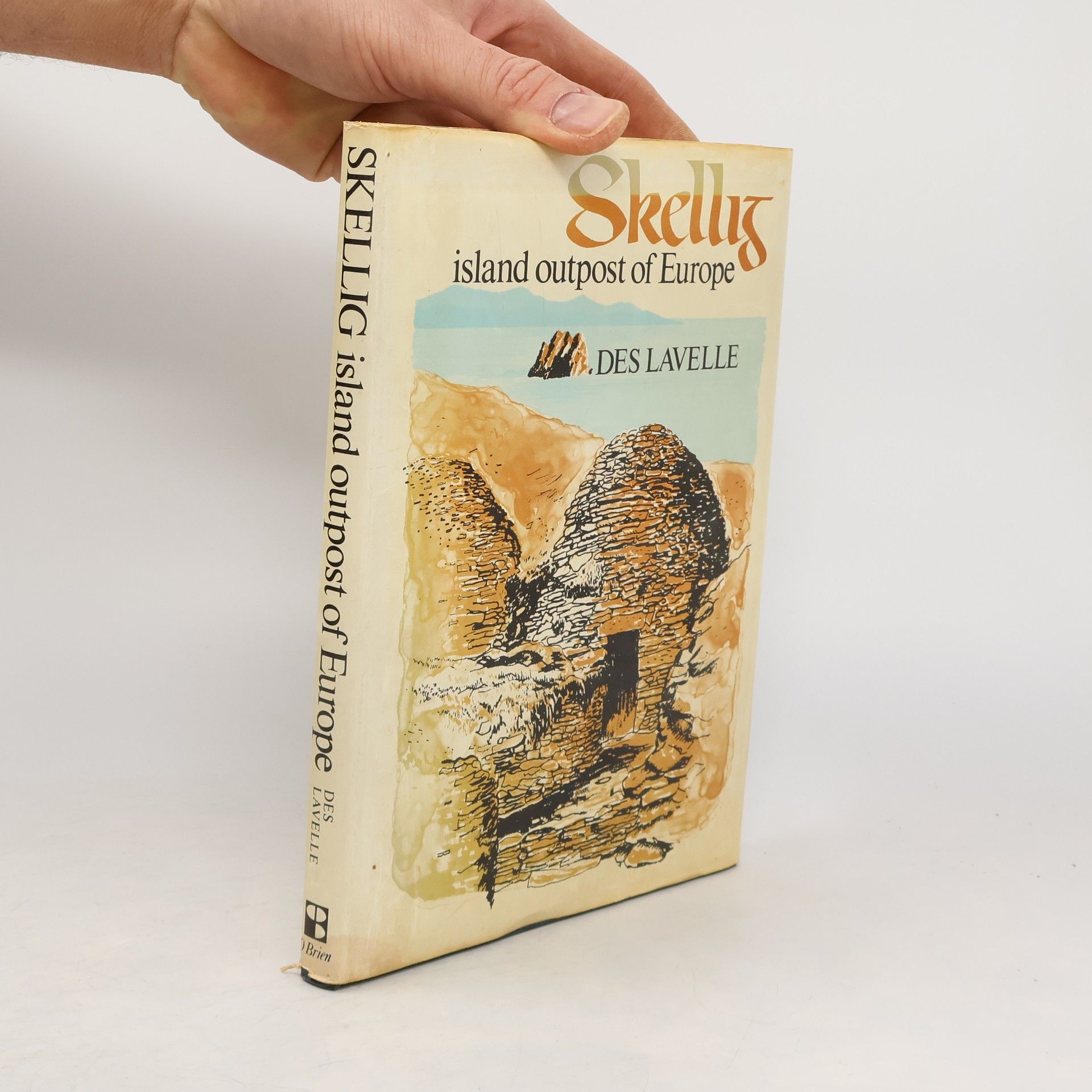 Des Lavelle Skellig