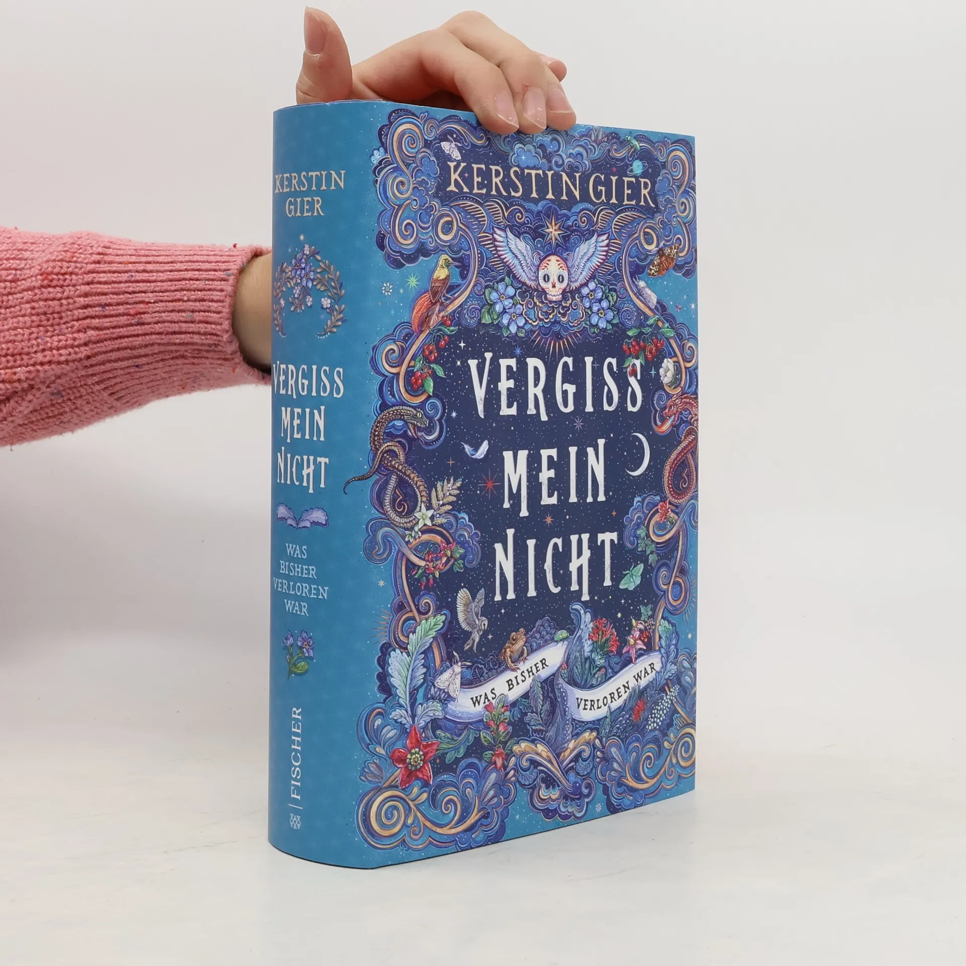 Vergissmeinnicht - Was bisher verloren war | Buch | Kerstin Gier