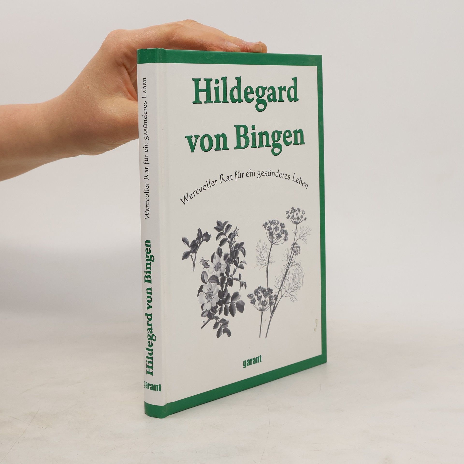 Hildegarda z Bingenu Hildegard von Bingen