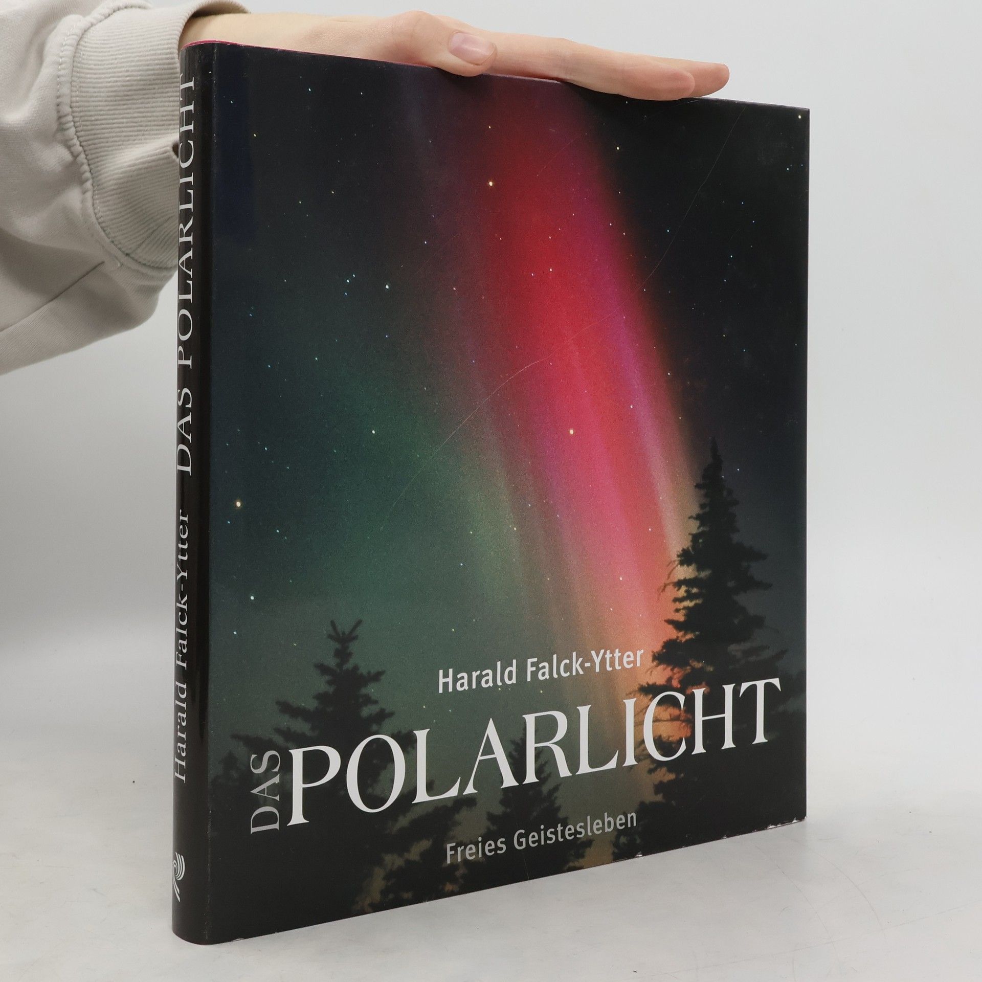 Harald Falck Ytter Das Polarlicht