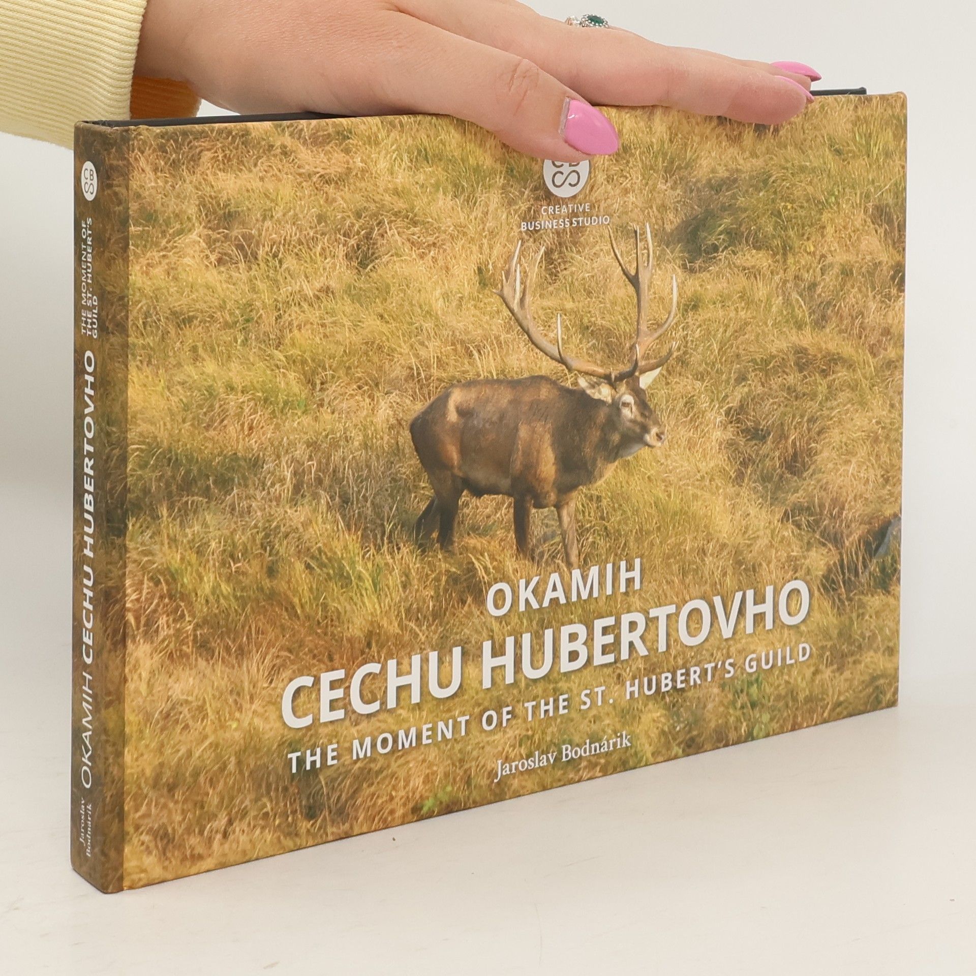 Jaroslav Bodnárik Okamih cechu Hubertovho