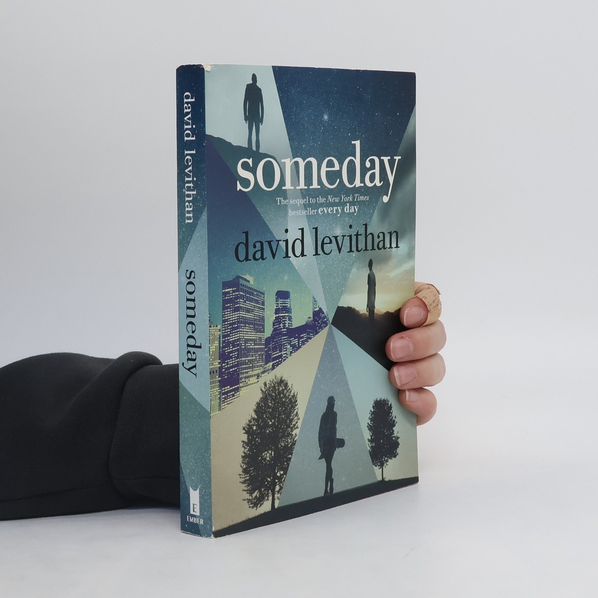 David Levithan Someday