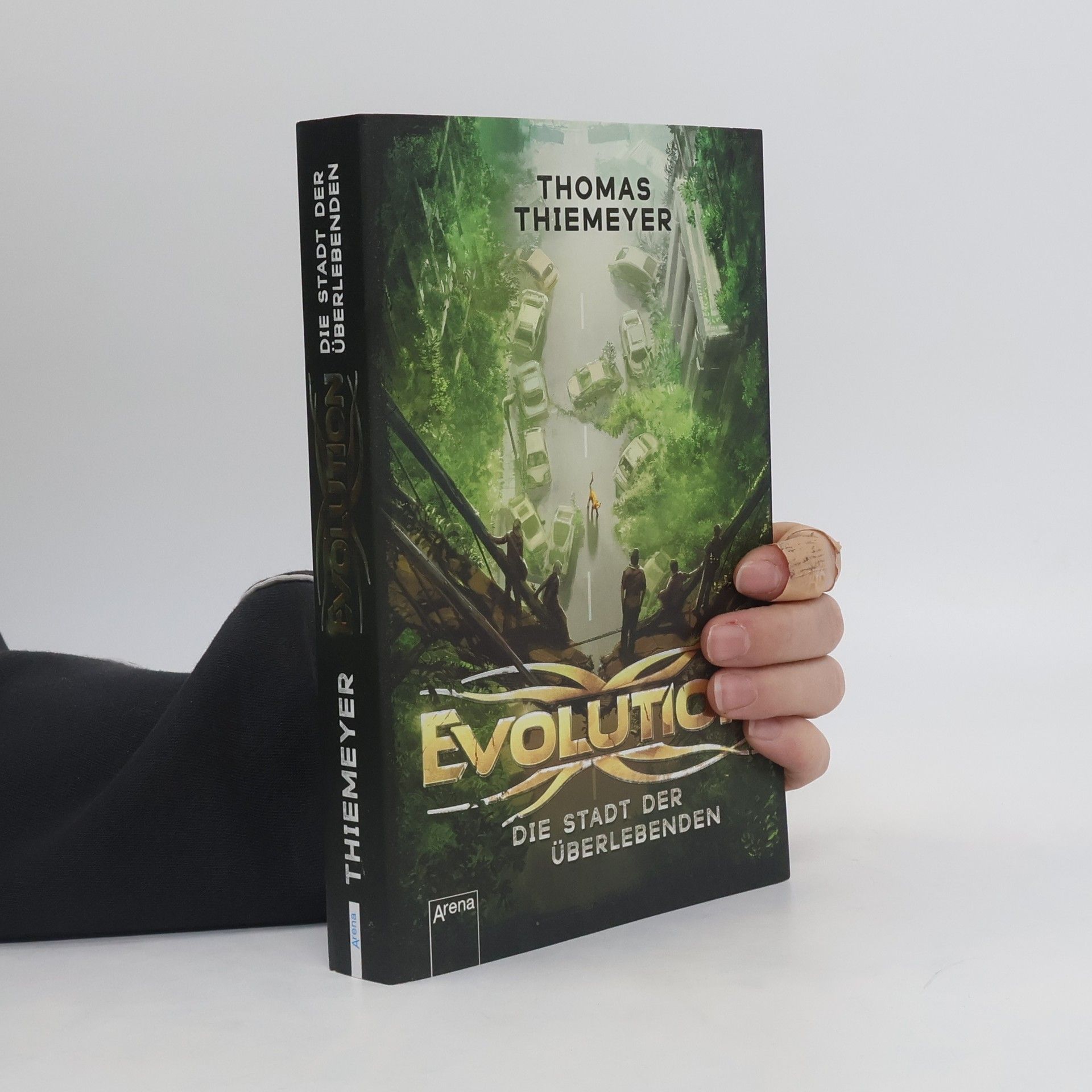 Thomas Thiemeier Evolution