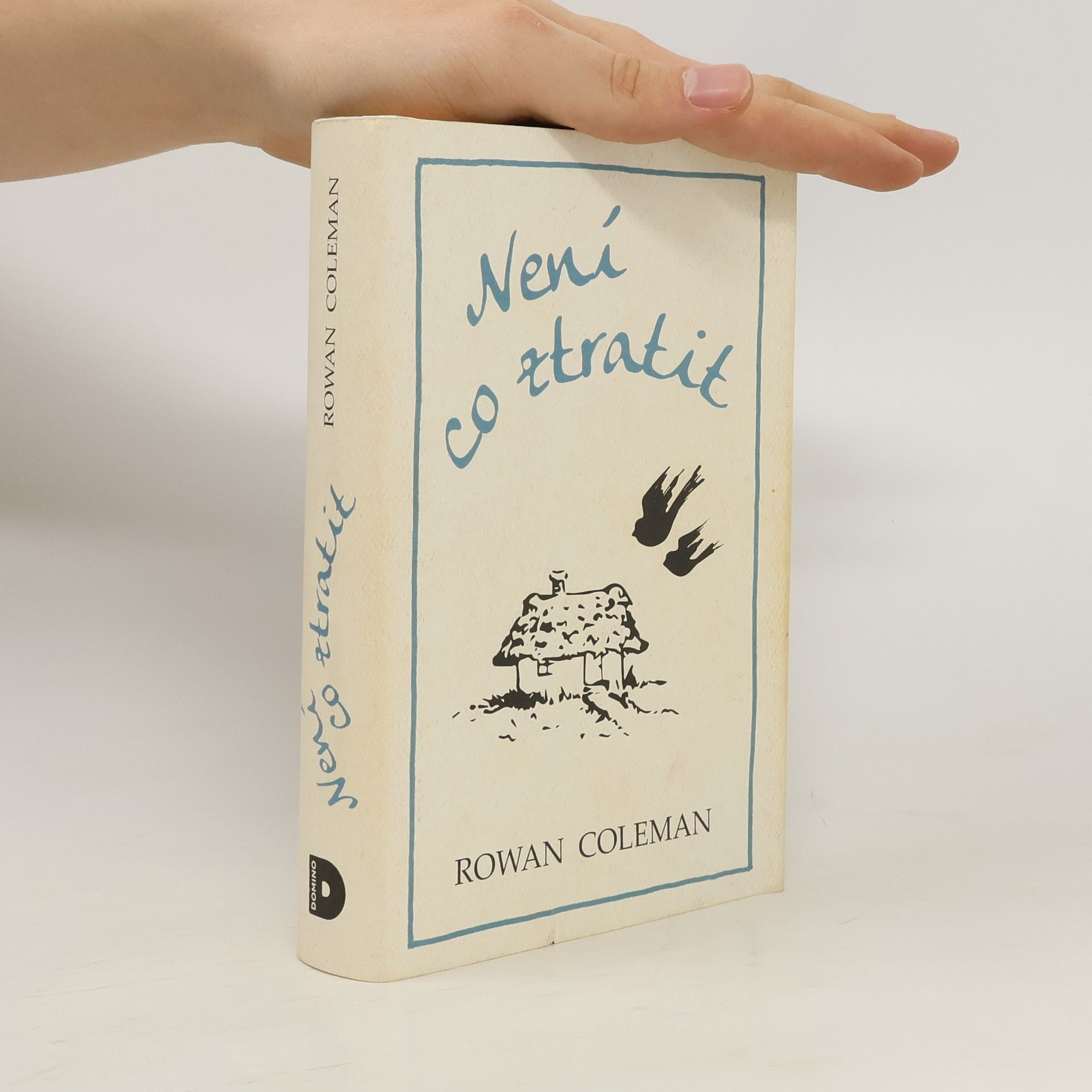 Rowan Coleman Není co ztratit