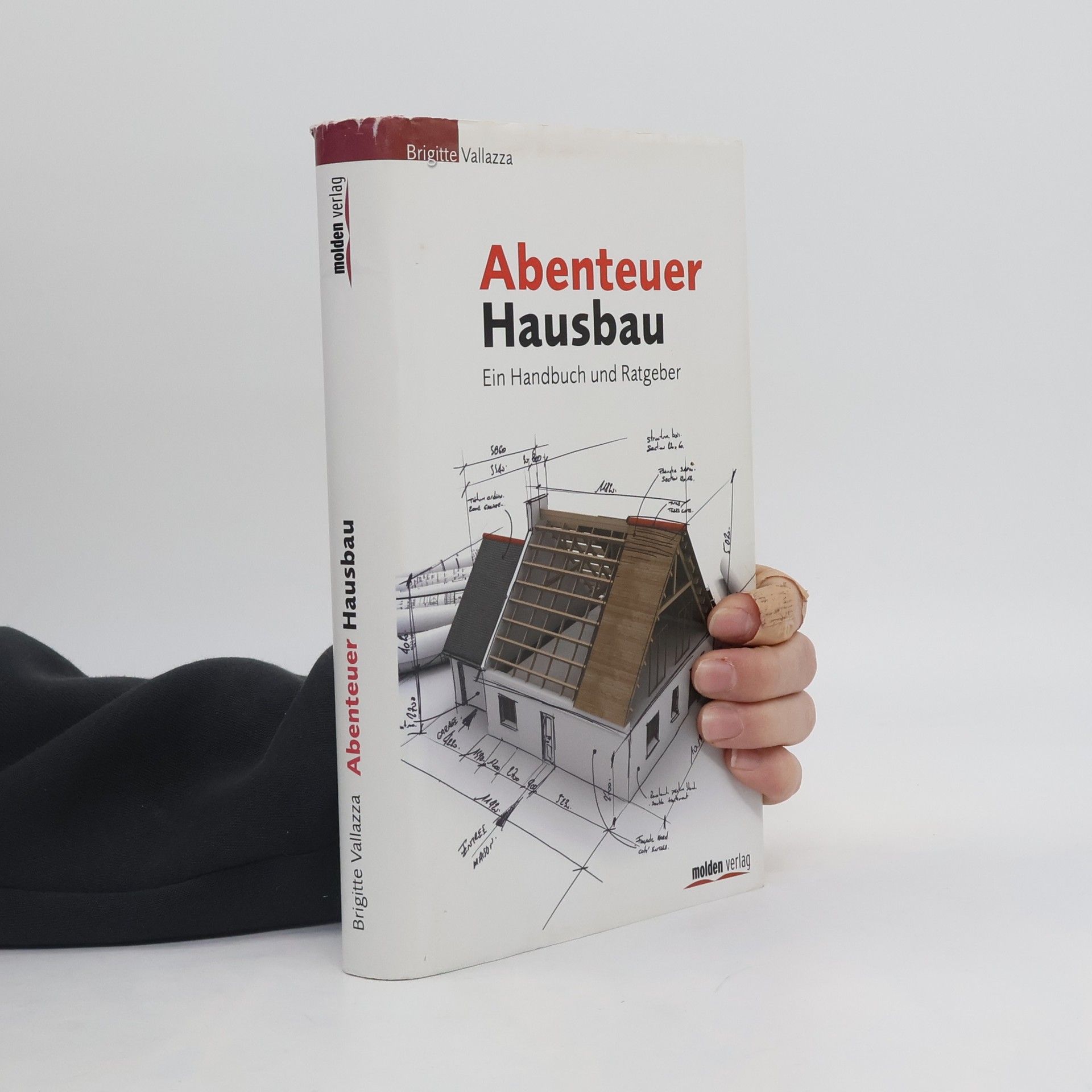 Brigitte Vallazza Abenteuer Hausbau